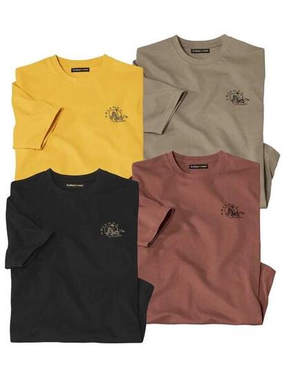 Lot de 4 Tee-Shirt Destination Arizona