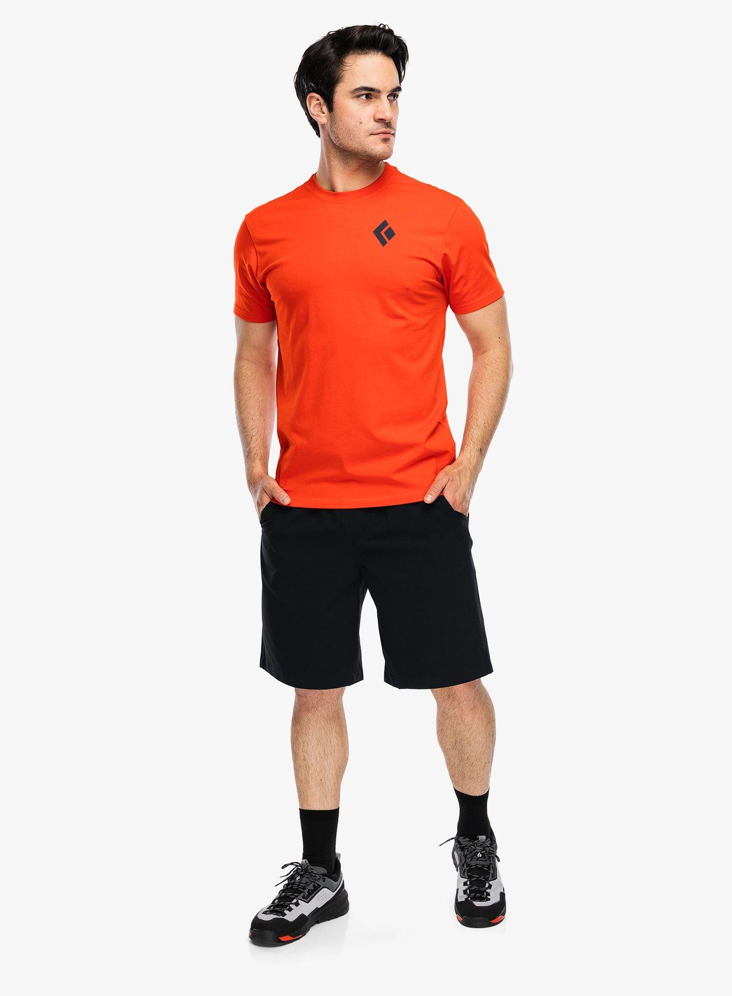 Koszulka bawełniana męska Black Diamond Equipment For Alpinist Tee 3/7