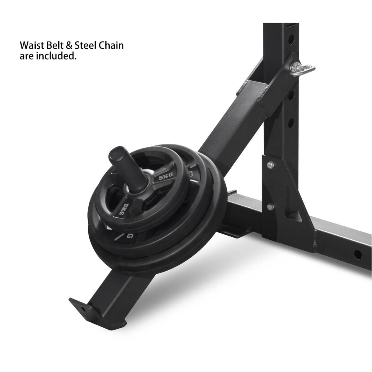 Accesorio de Belt Squat para Racks de la Serie Titanium 3/4