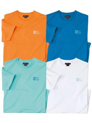 Lot de 4 Tee-shirts Unis