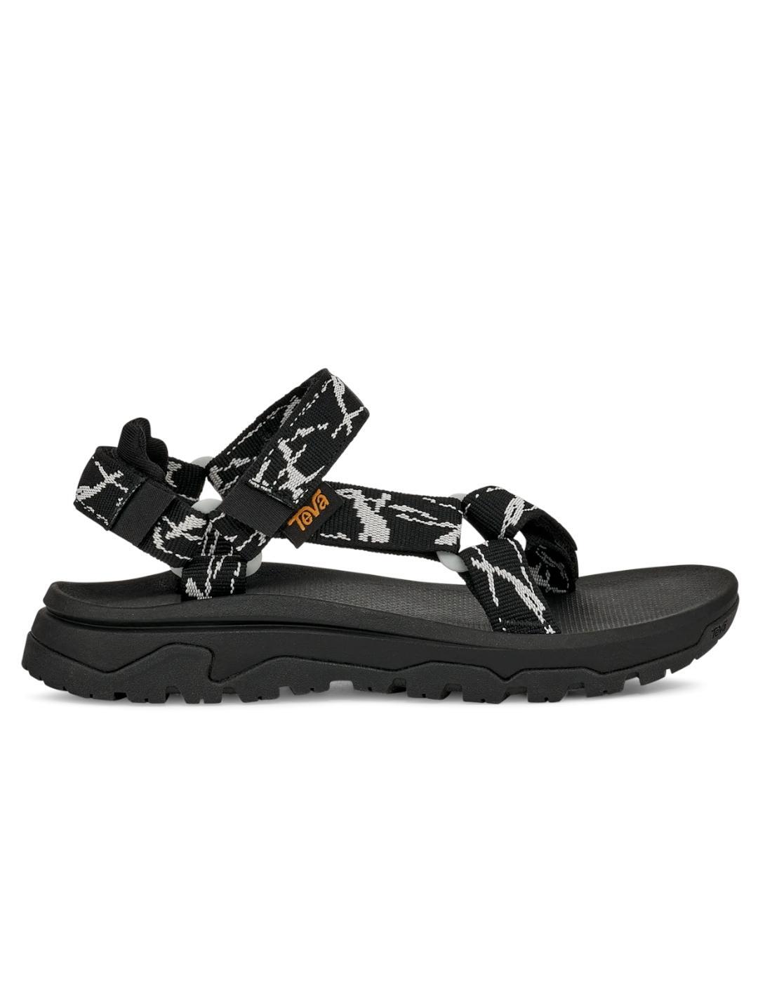 TEVA picture