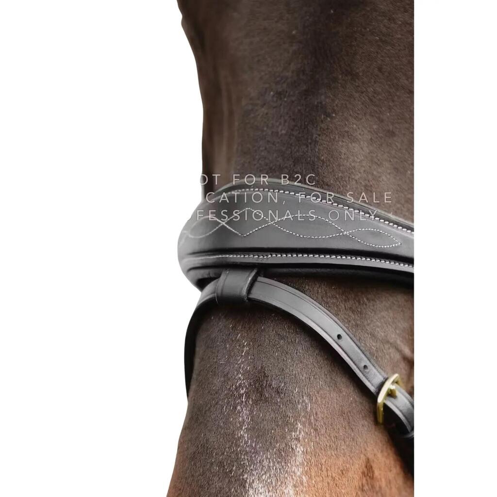 Anatomical combination noseband for horse with chains Dy'on