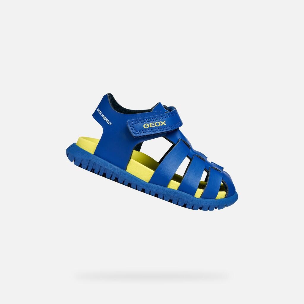 bleu royal / vert citron