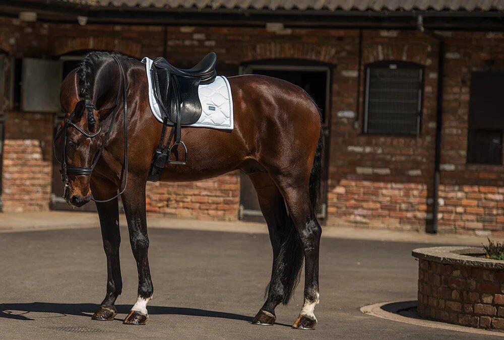 Dressuurmat voor paarden Equestrian Stockholm 3/7