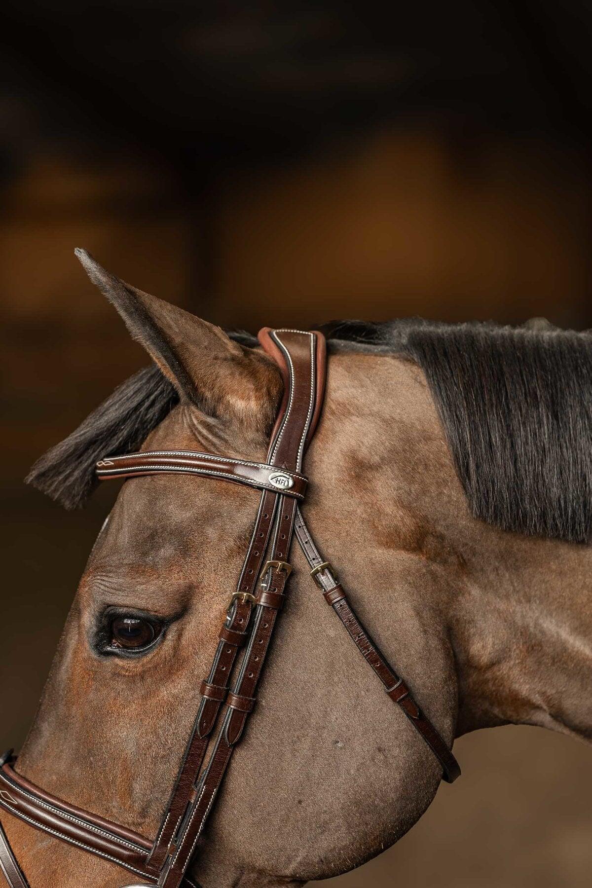 Bridon équitation muserolle combinée HFI Pro Line Milano 7/7
