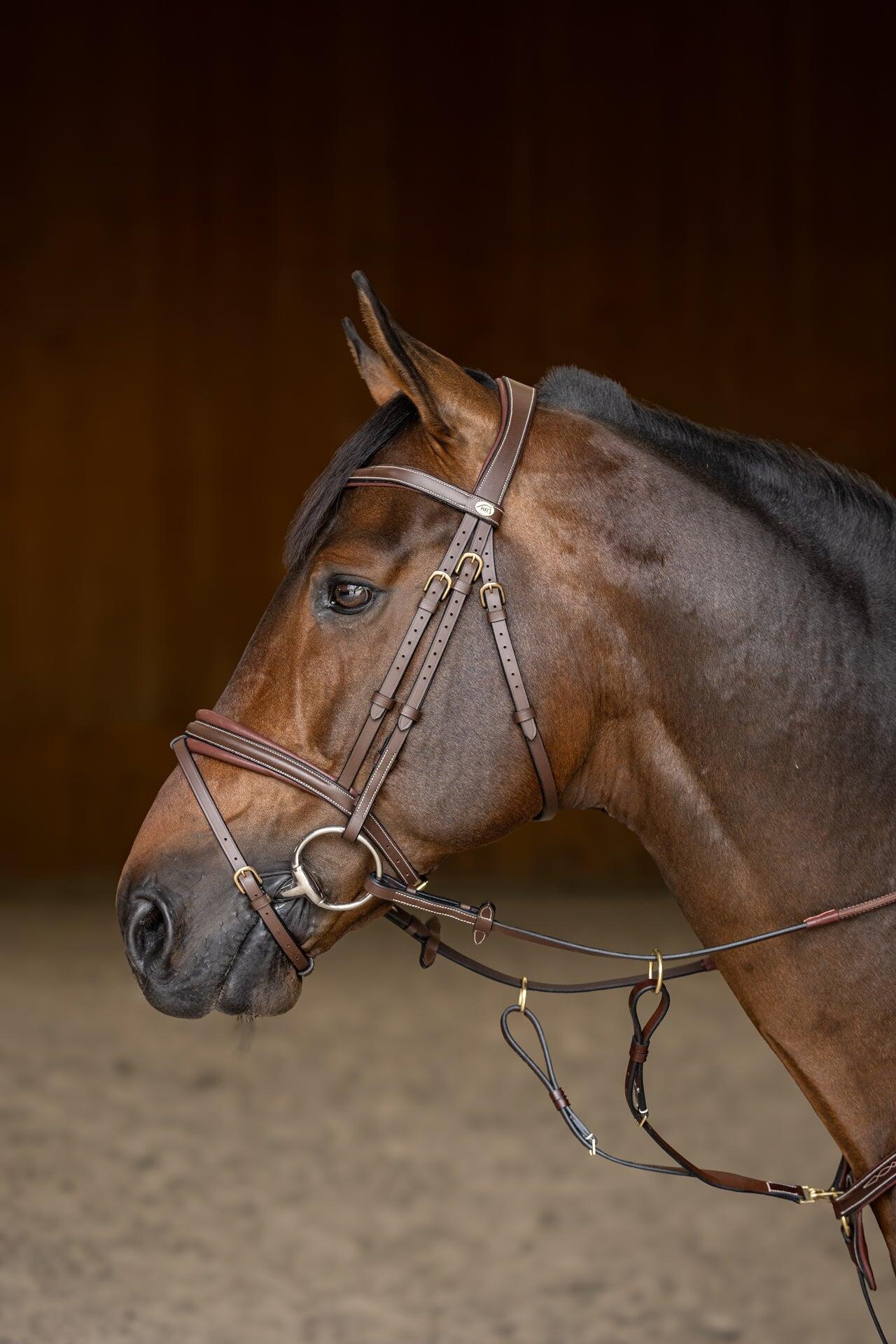 Muserolle combinée pour cheval HFI Wavy 5/7