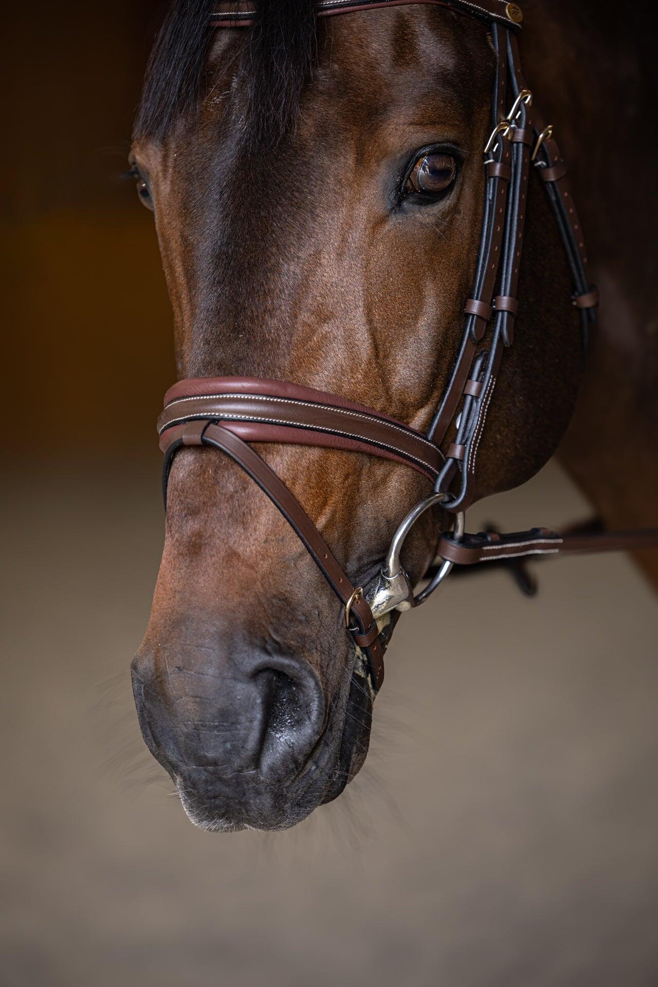 Muserolle combinée pour cheval HFI Wavy 6/7