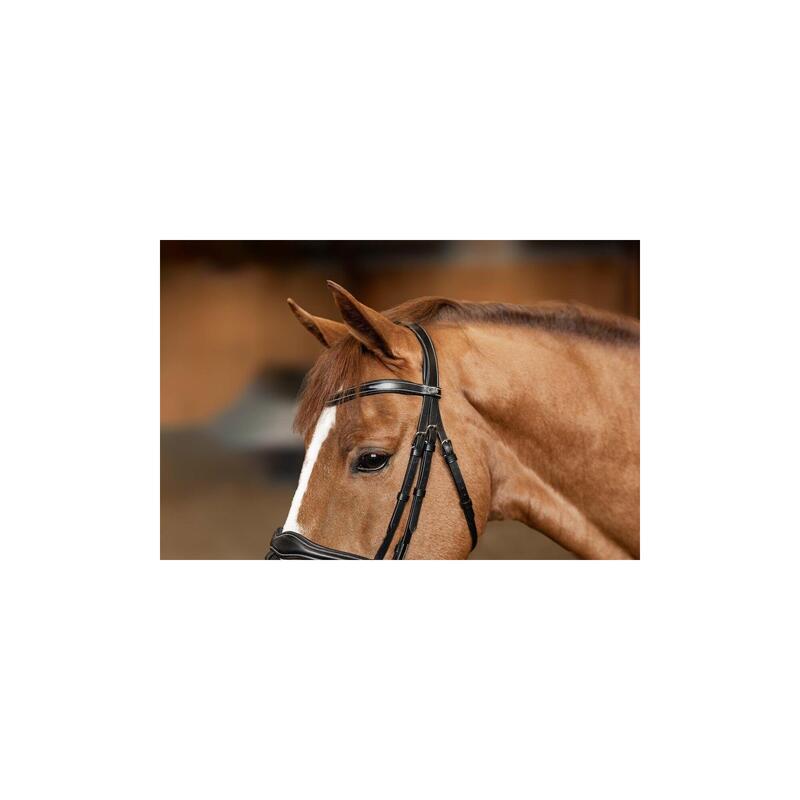 Hfi Hoofdstel Wavy Bruin -