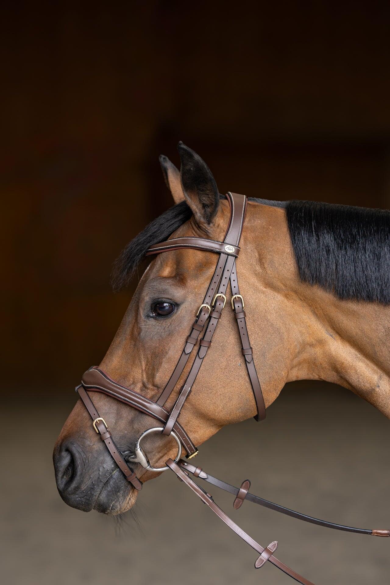 Bridon équitation anatomique HFI Padded 7/7