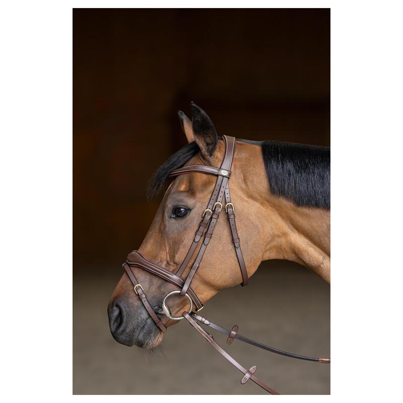 Hfi Hoofdstel Wavy Bruin -