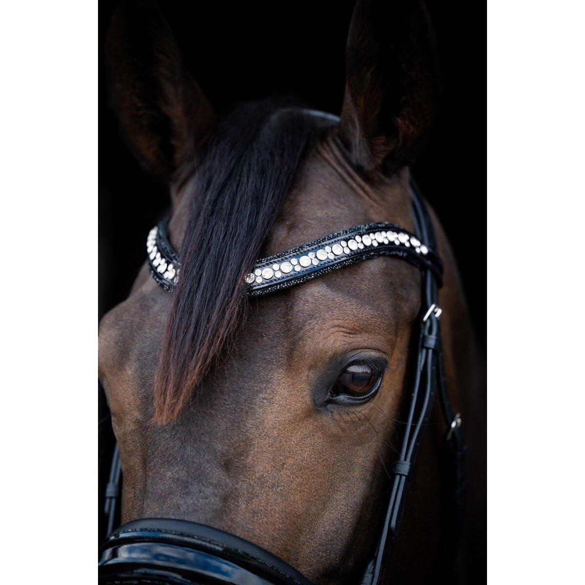 Cheval De Bride - Equitation - Mixte -  - Noir - 2/4