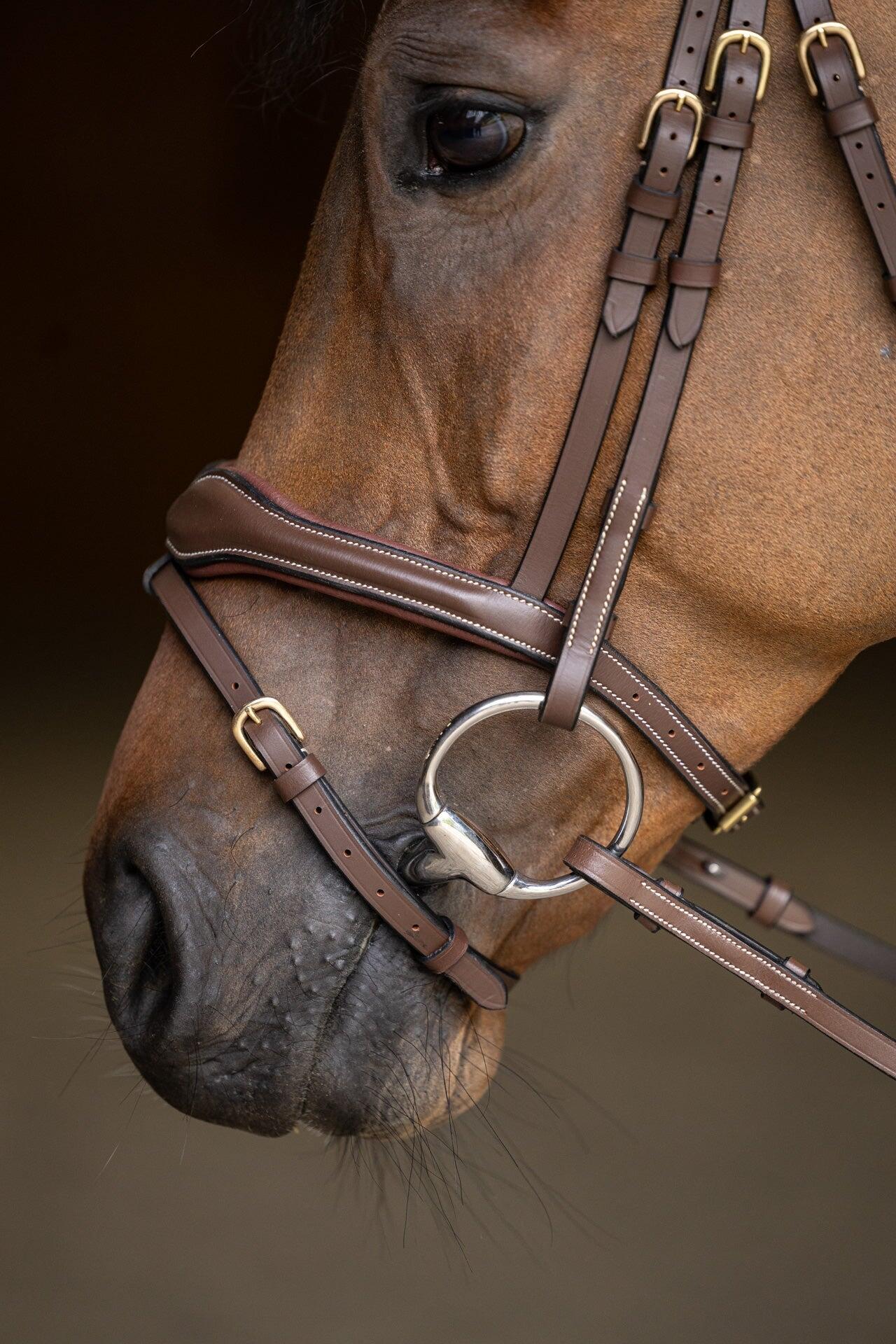 Bridon équitation anatomique HFI Padded 6/7