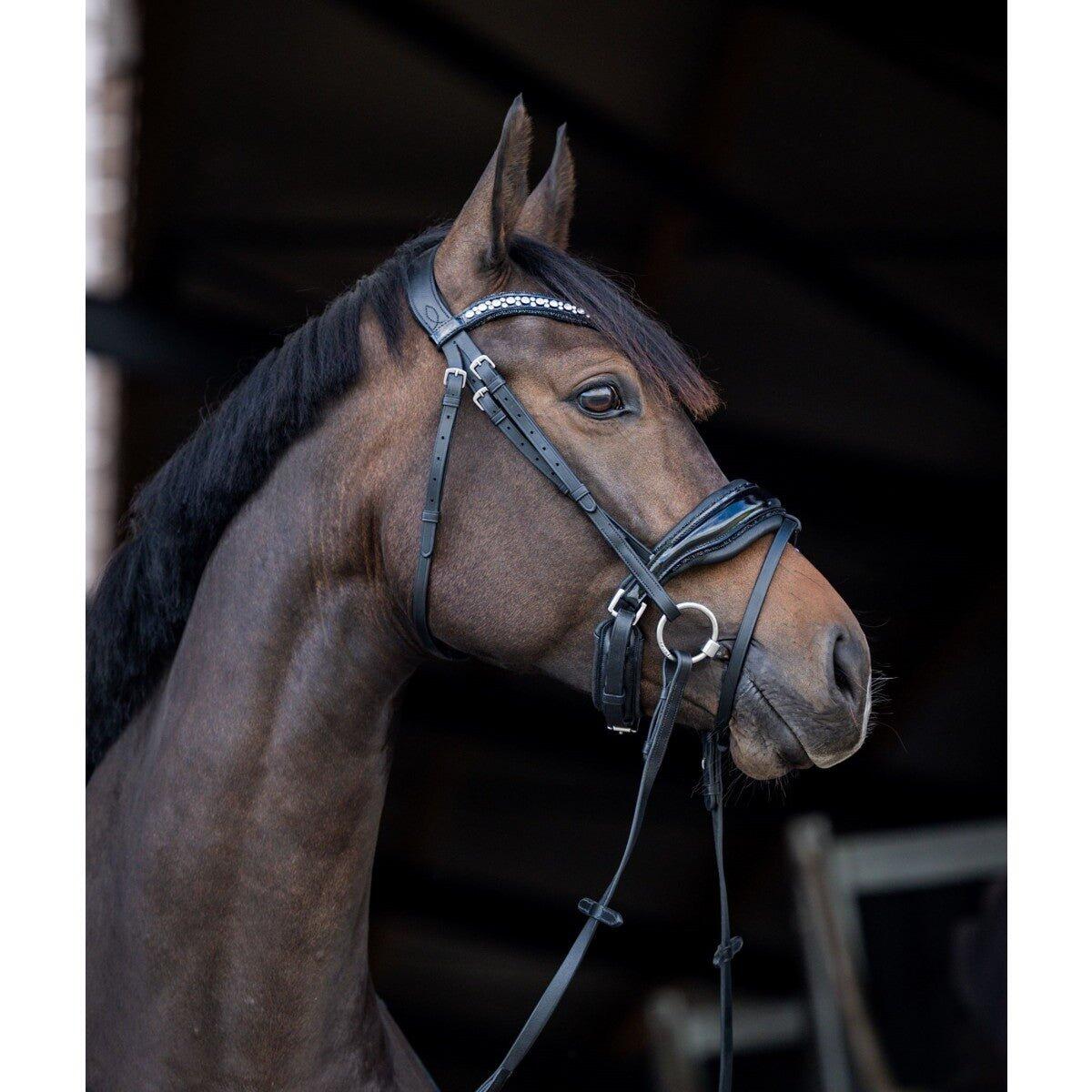 Cheval De Bride - Equitation - Mixte -  - Noir - 4/4