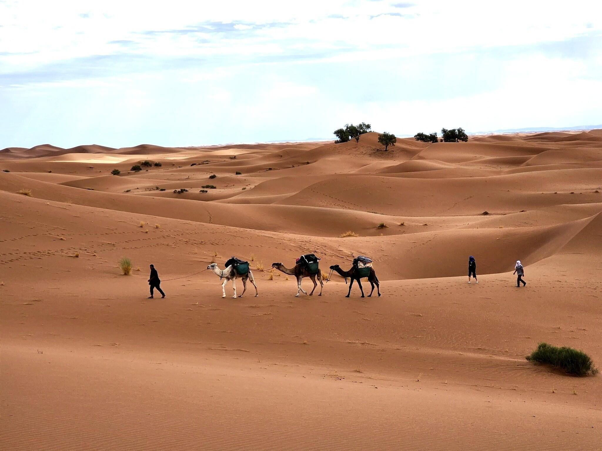 DECATHLON TRAVEL picture