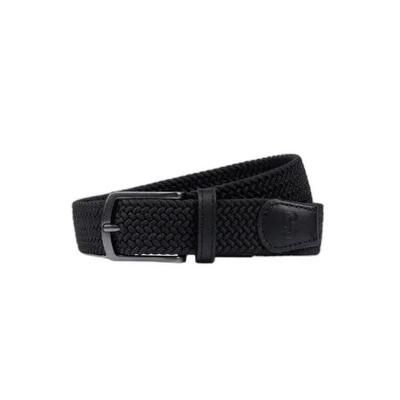 Riem ps of sweden treasure
