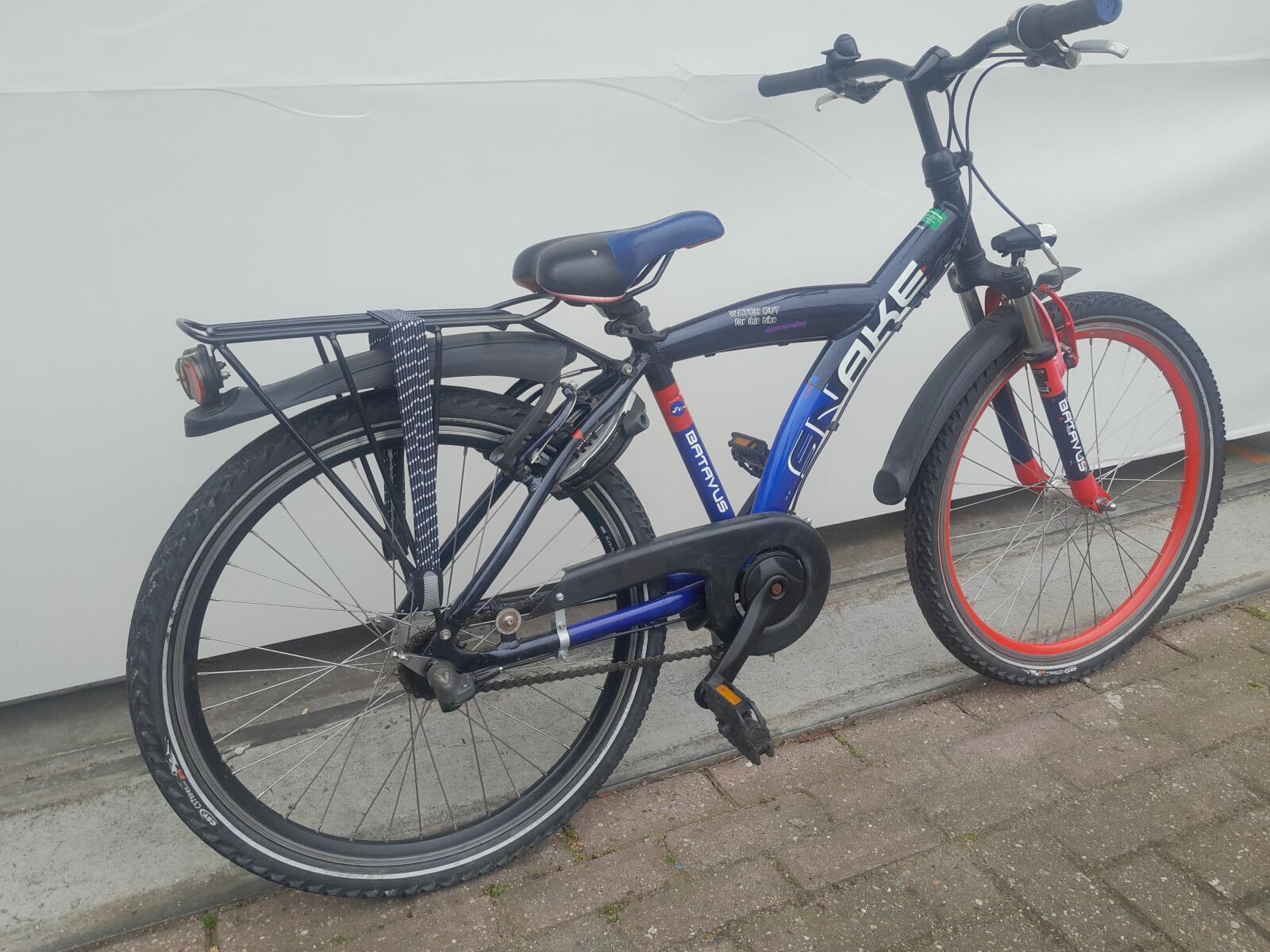 Batavus Snake 2/5