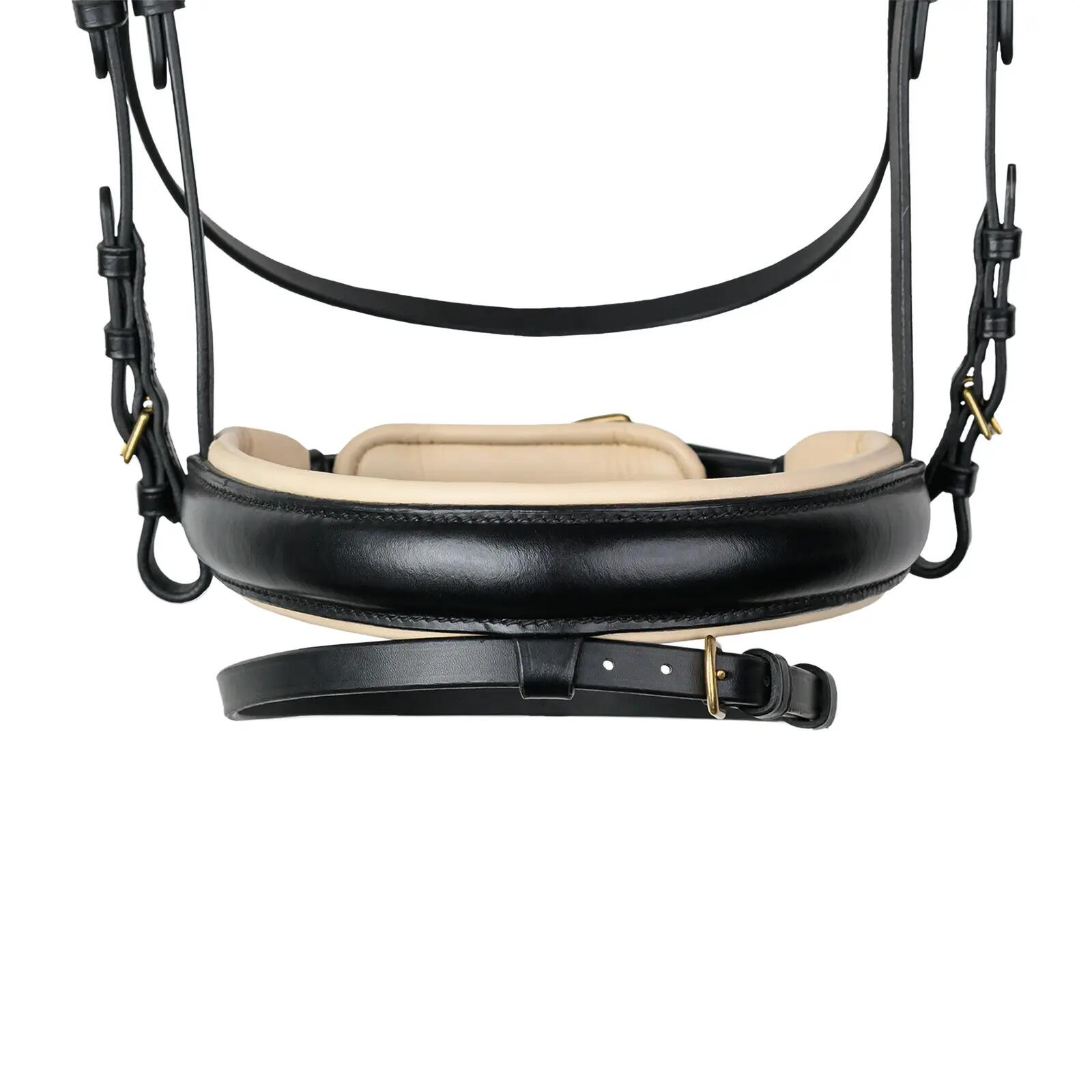 Cabezada para caballos Waldhausen X-Line Ivory 2/4