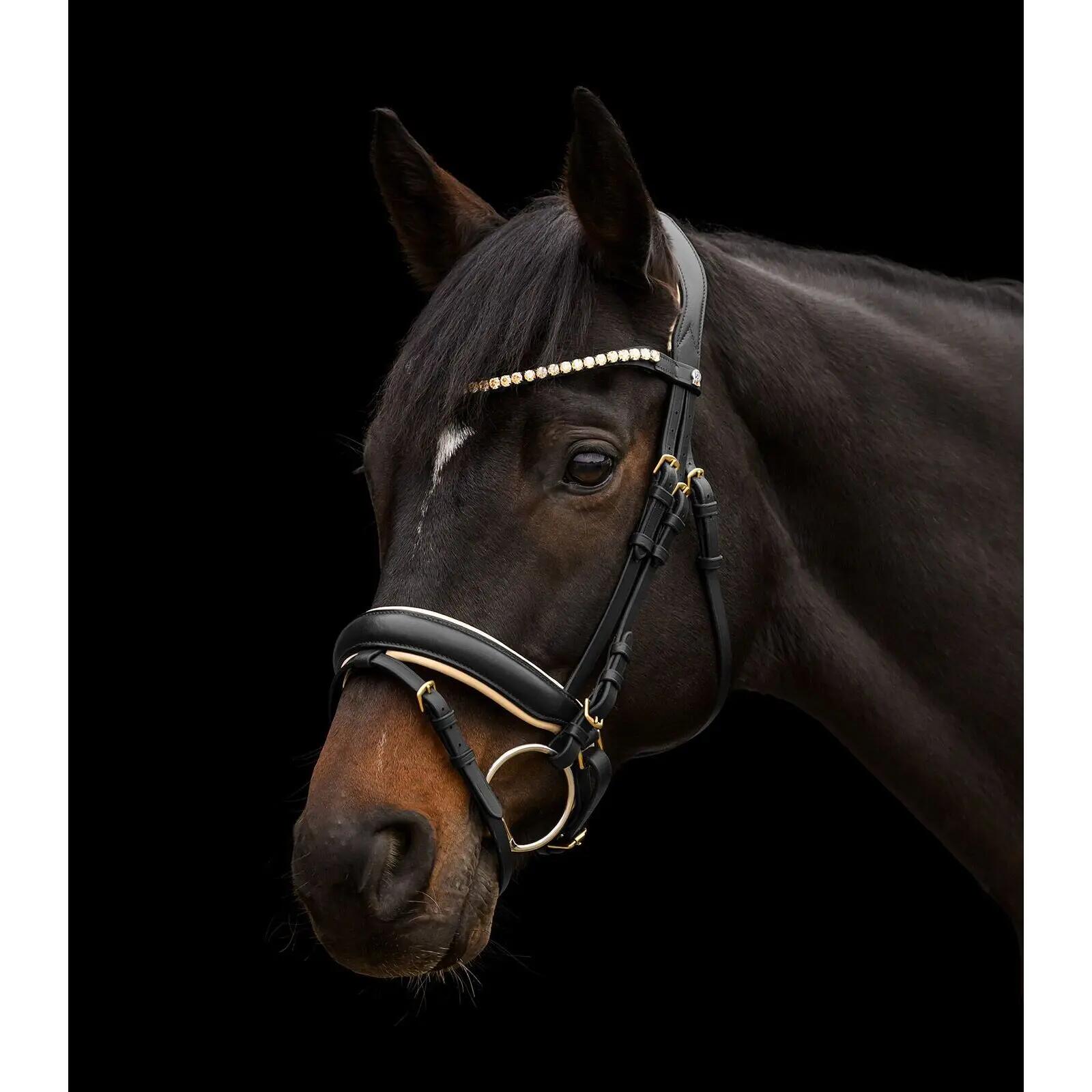 Cabezada para caballos Waldhausen X-Line Ivory 4/4