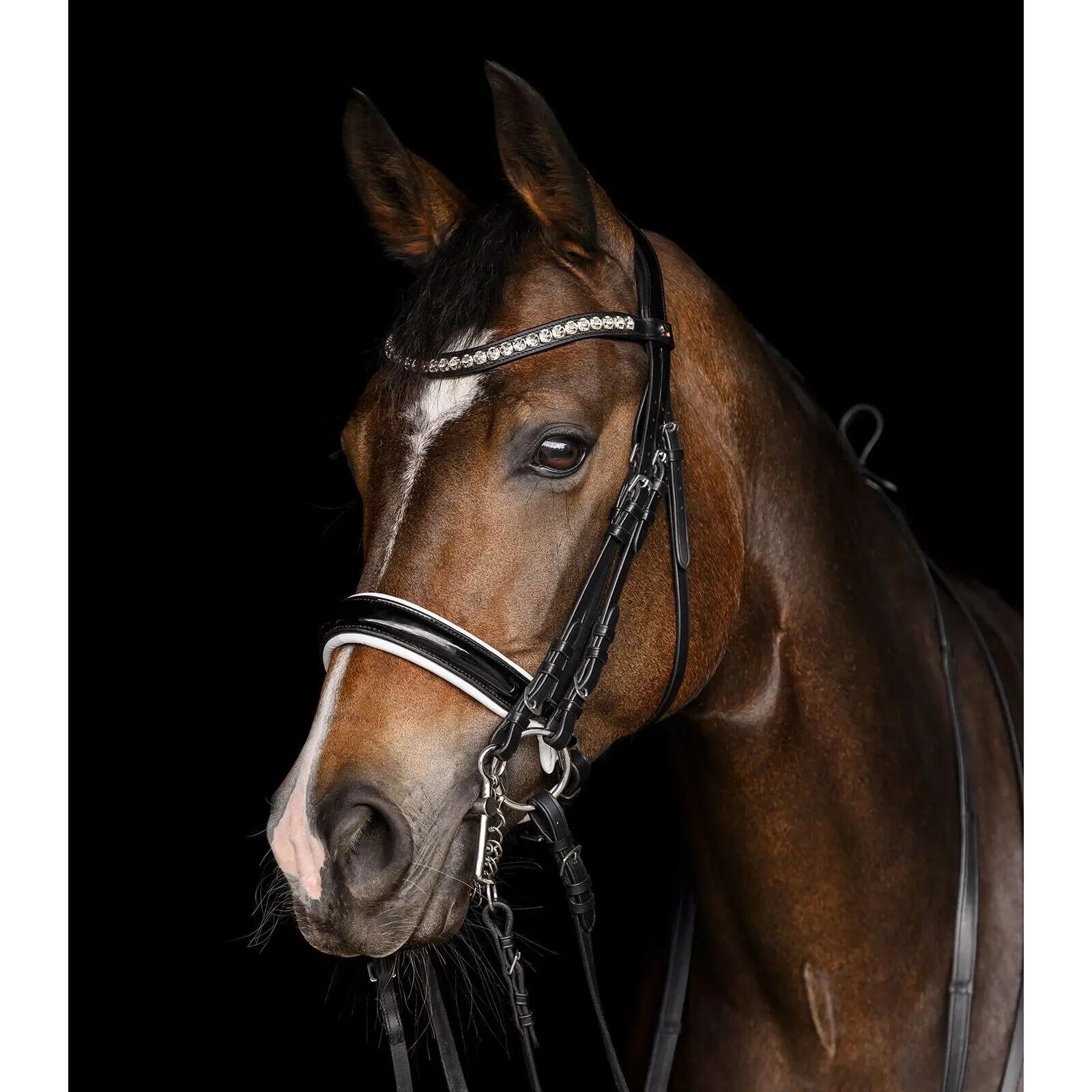 Briglia da equitazione Waldhausen X-Line Evermore 2/2