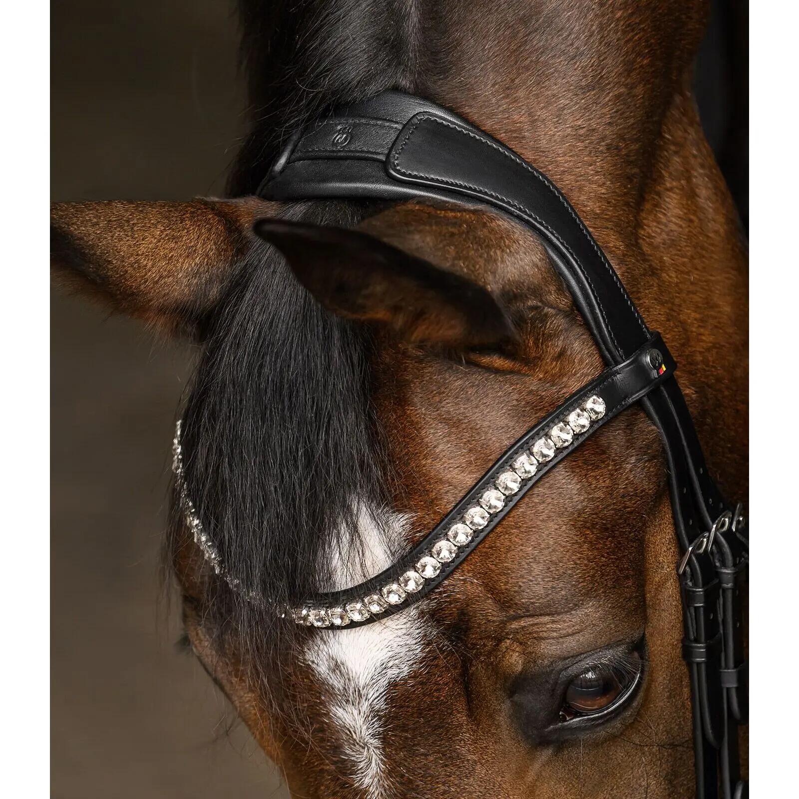 Cabezada para caballos Waldhausen X-Line Evermore 3/3