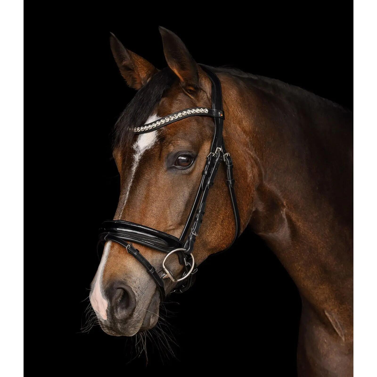 Cabezada para caballos Waldhausen X-Line Evermore 2/2