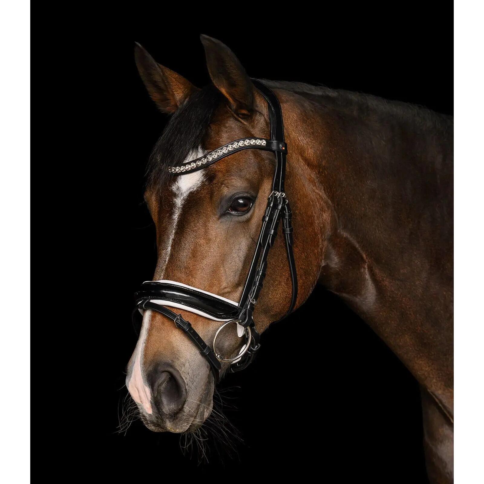 Cabezada para caballos Waldhausen X-Line Evermore 2/3