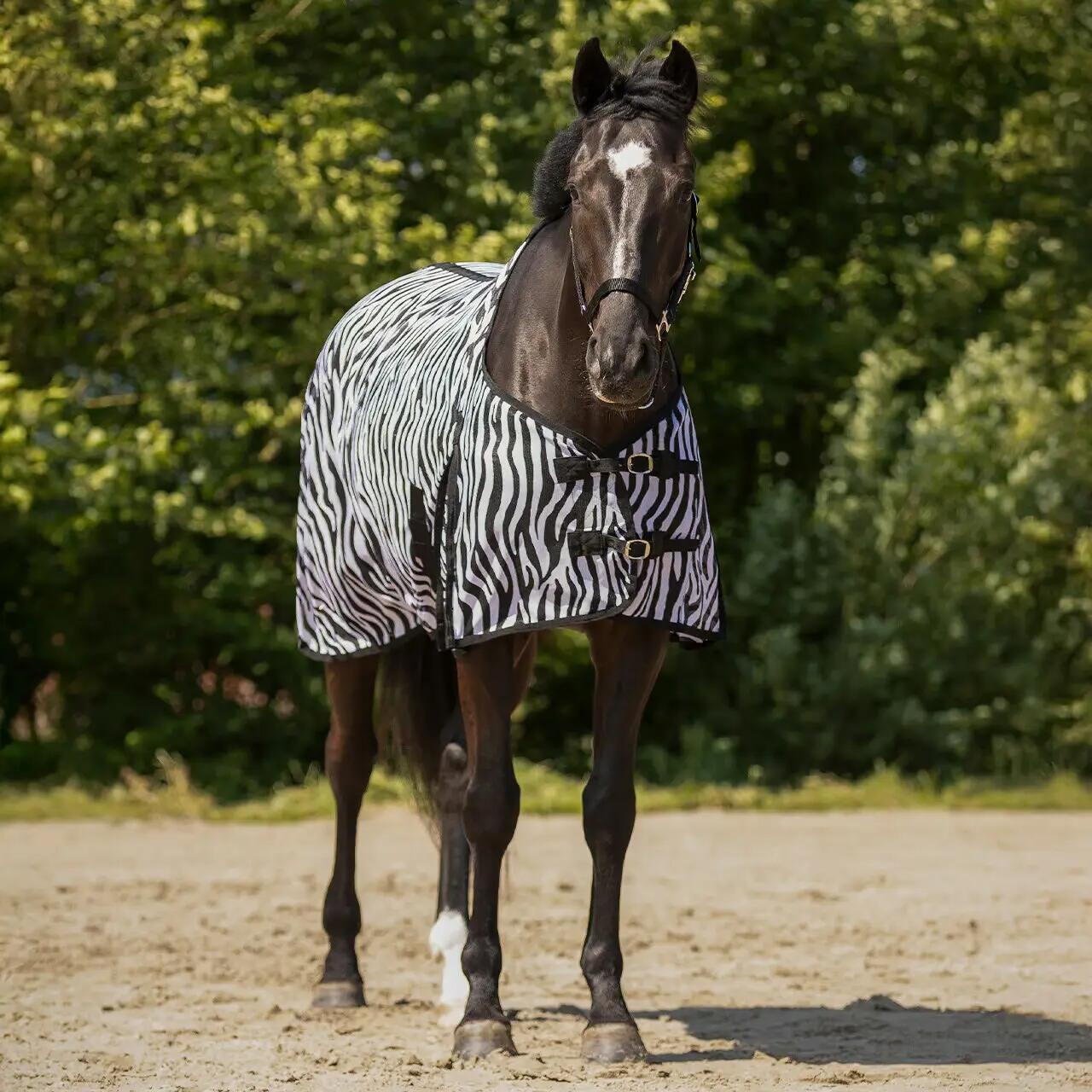 Manta de Mosca de Cavalo QHP 2/2