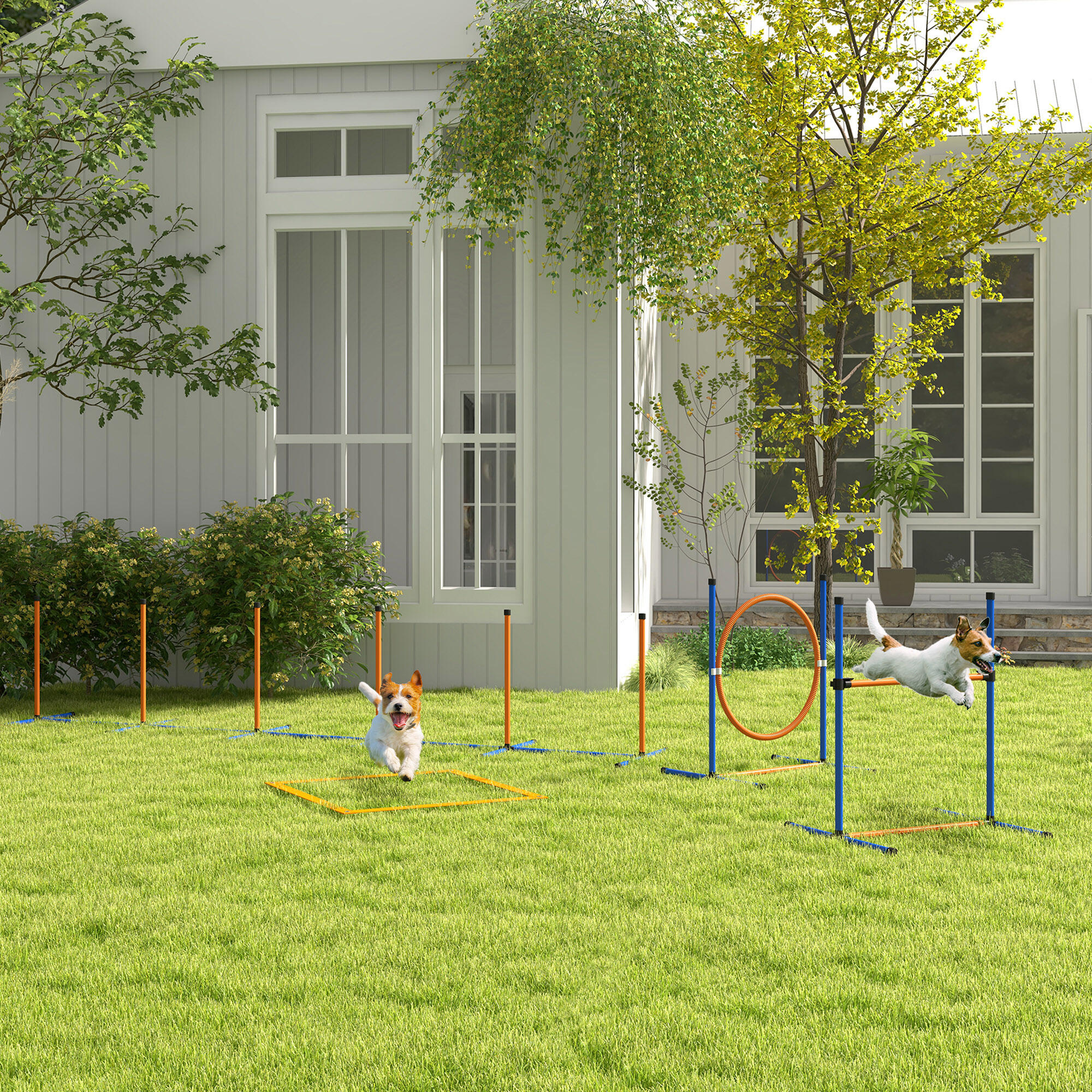 PawHut Set Agility Dog con Ostacoli Salto, Slalom, Fischietto, Palline e Borsa 2/7