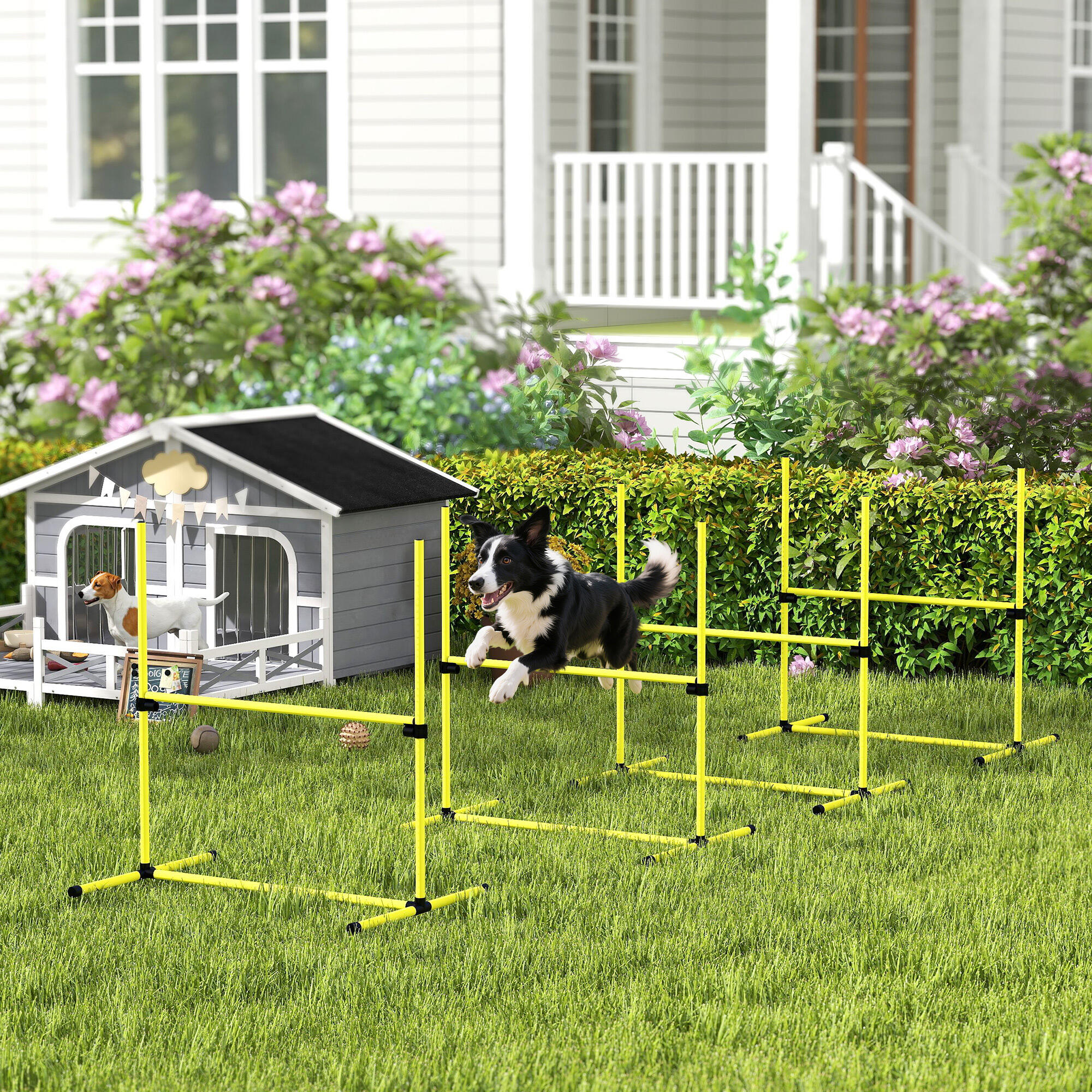 PawHut Set 4 Ostacoli Agility Dog Addestramento Cani e Borsa da Trasporto Giallo 2/7
