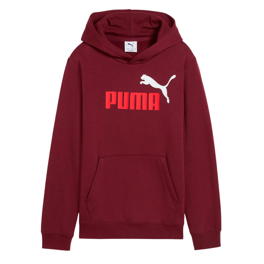 PUMA picture