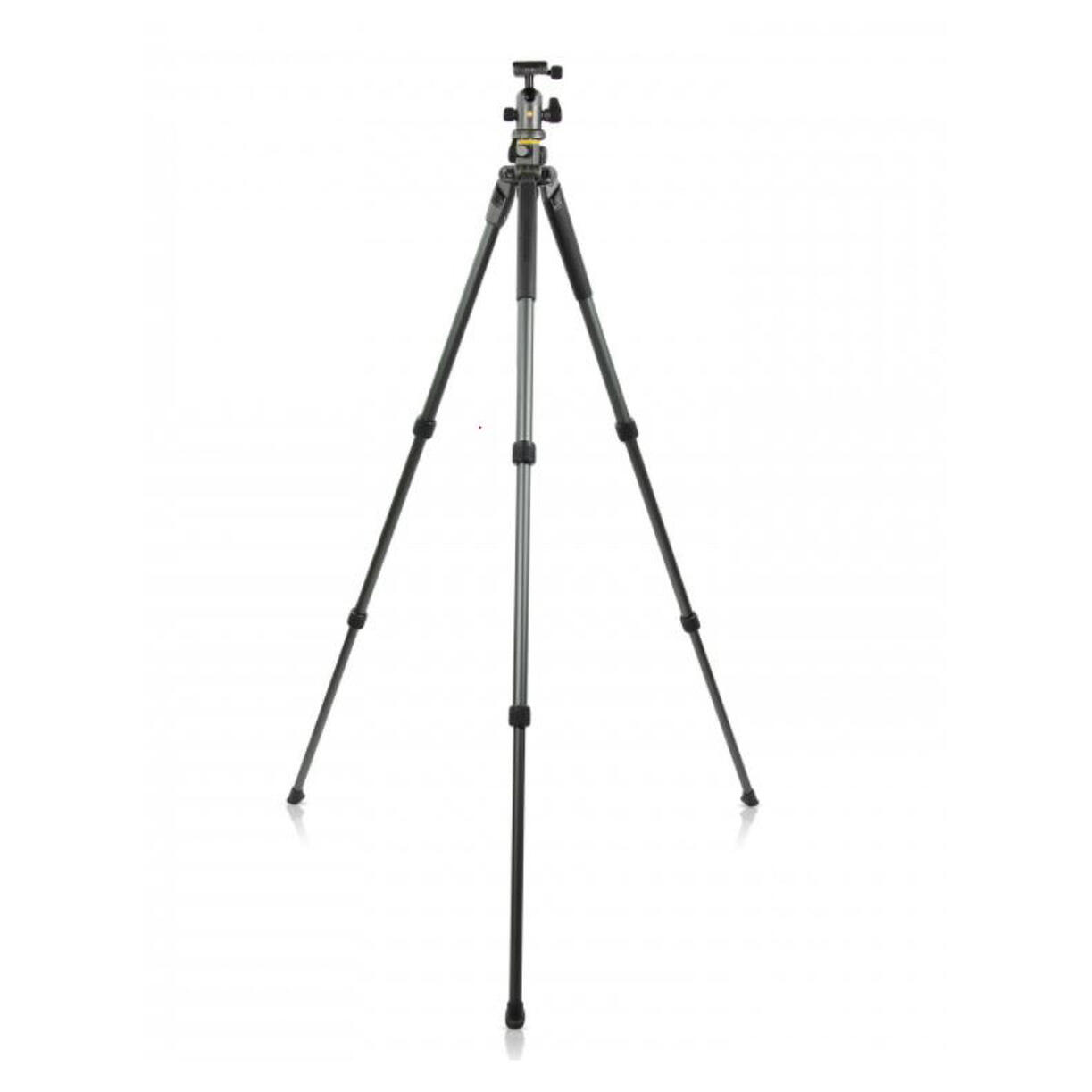 Treppiede Vanguard Alta Pro 2+ 4/5