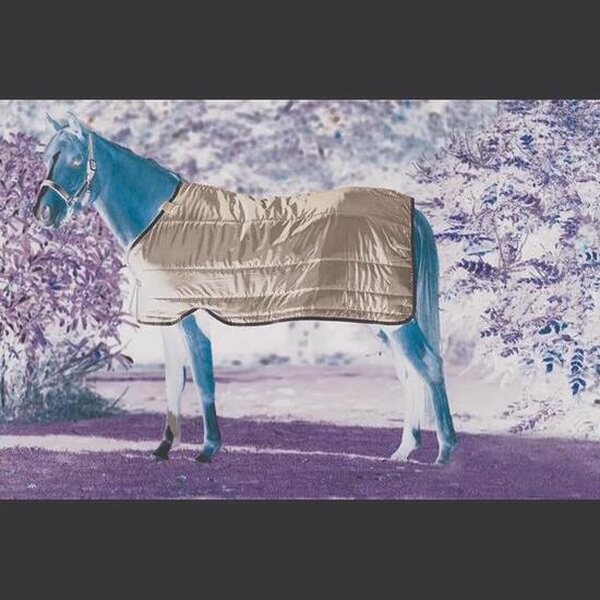 Doublure pour couverture pour poney 100g Horseware