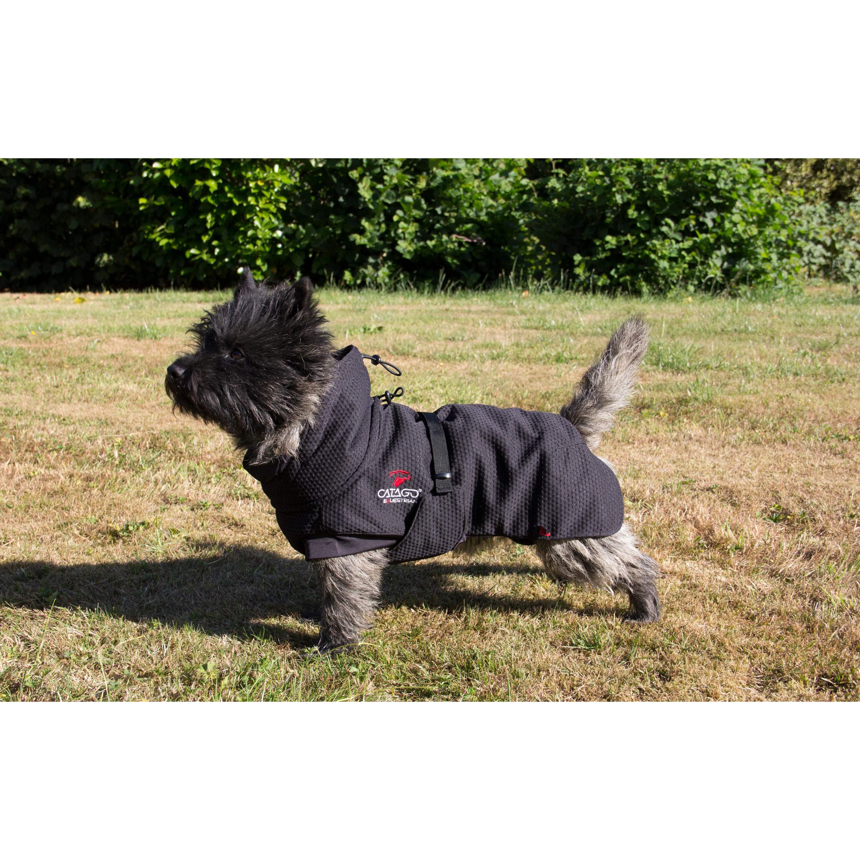 Manta para perro Catago FIR-Tech 2/2