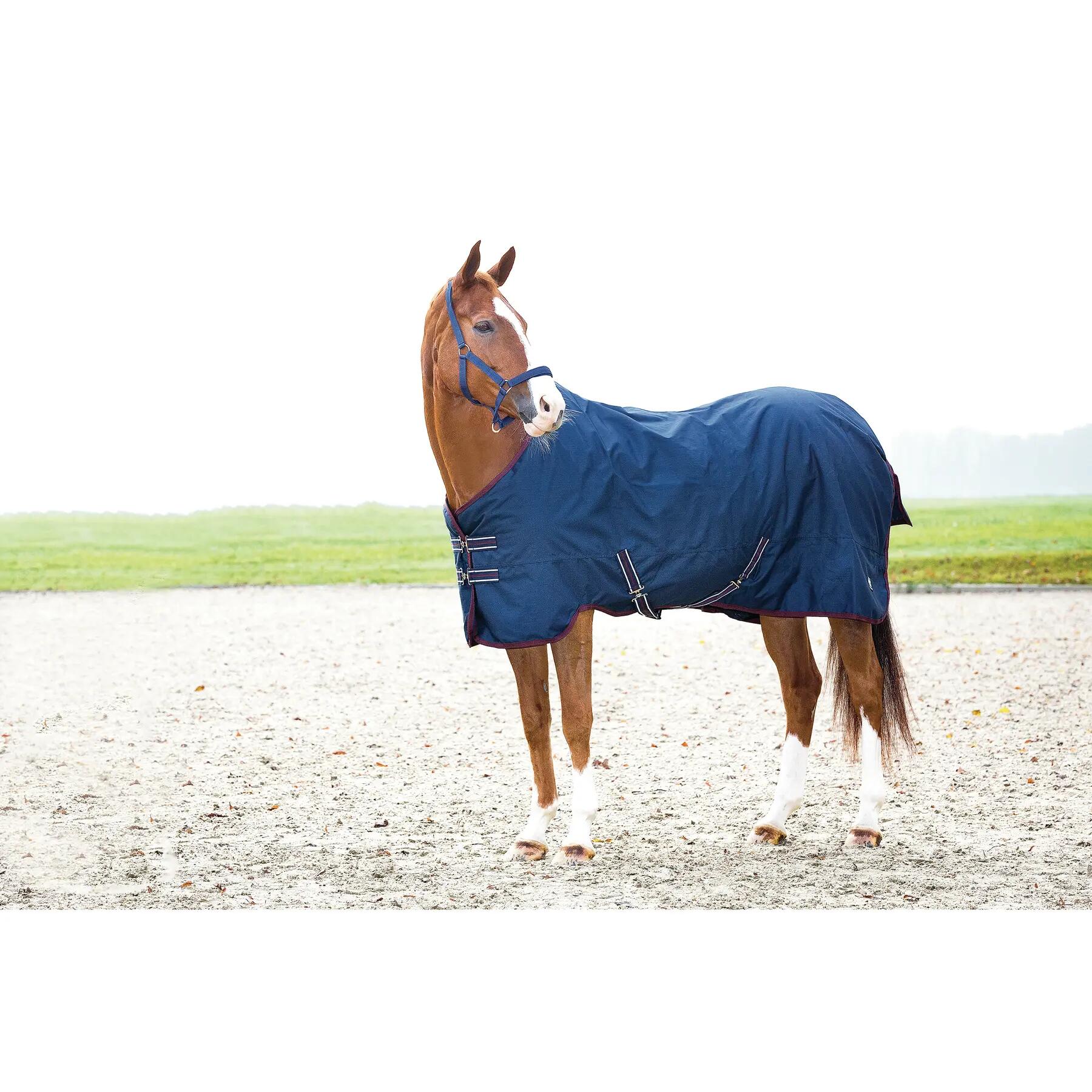 Outdoor paardendeken HorseGuard 600D 0 g 2/2