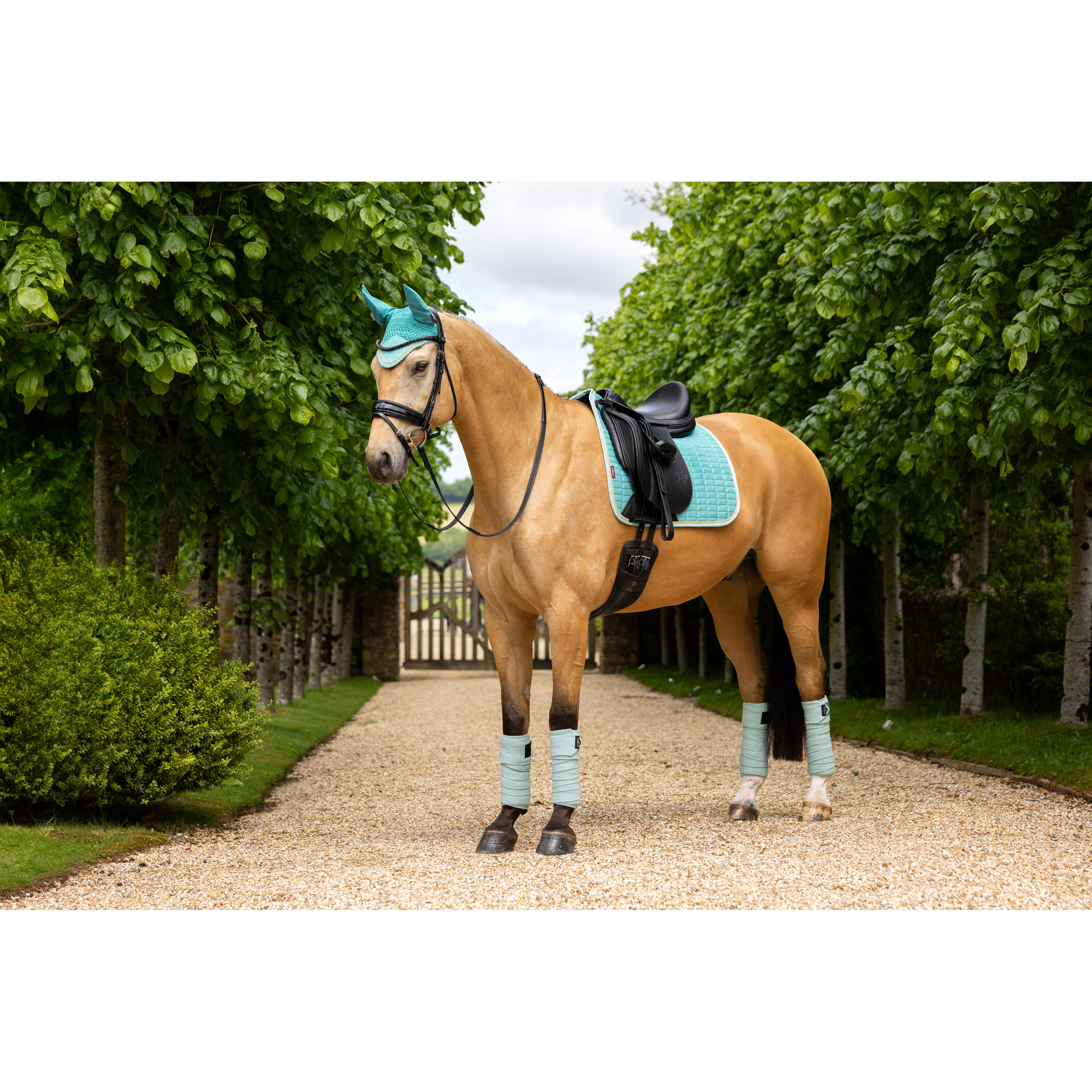 Lemieux Suede Zadeldek Lagoon Ss25 Blauw - 7/7