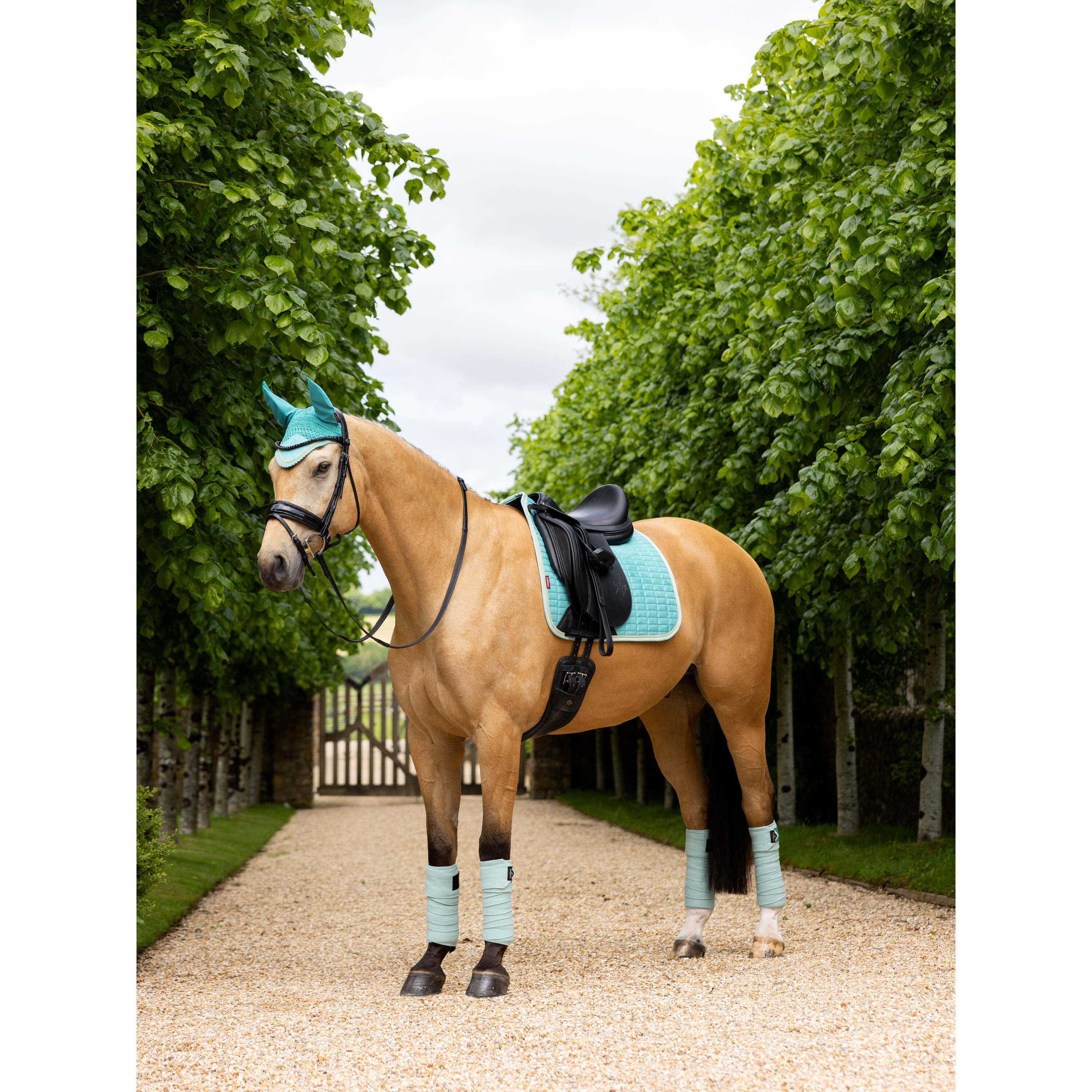 Lemieux Suede Zadeldek Lagoon Ss25 Blauw - 6/7