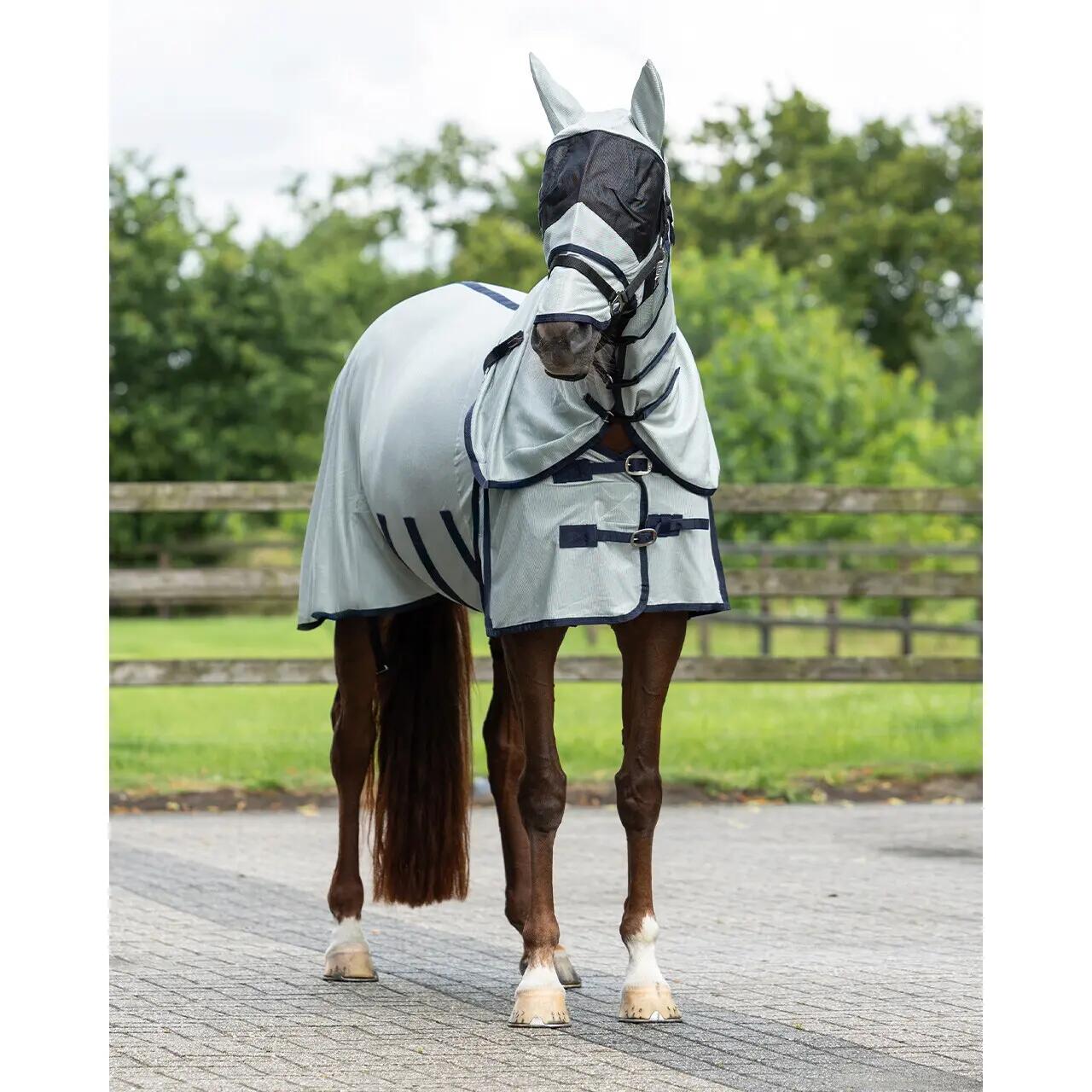 Chemise pour cheval QHP zebra 2/7