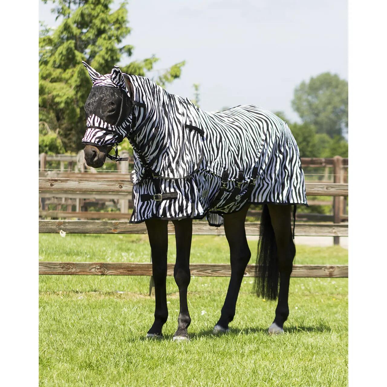 Chemise pour cheval QHP zebra 4/7