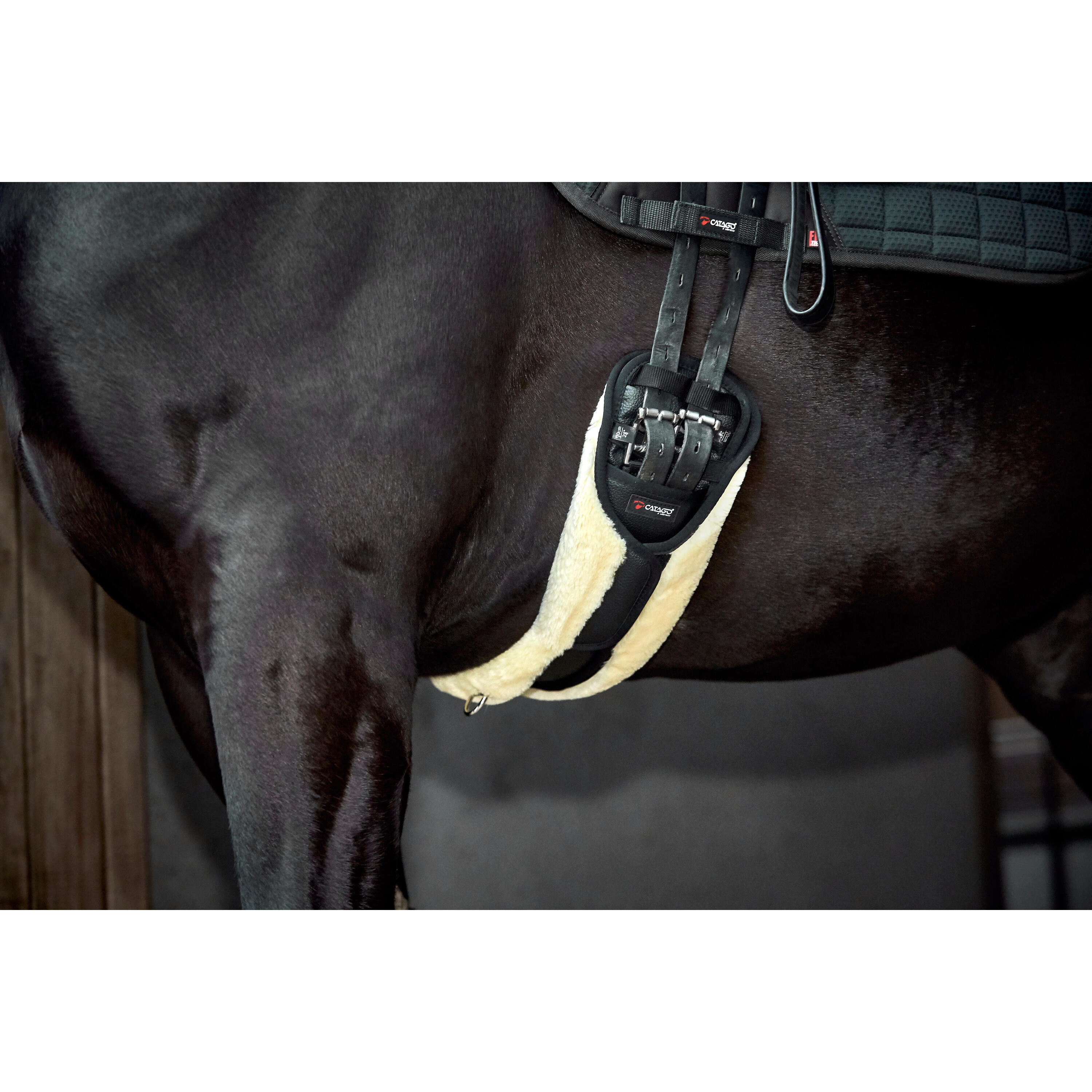 Cincha para caballo  con piel sintética Catago 2/3