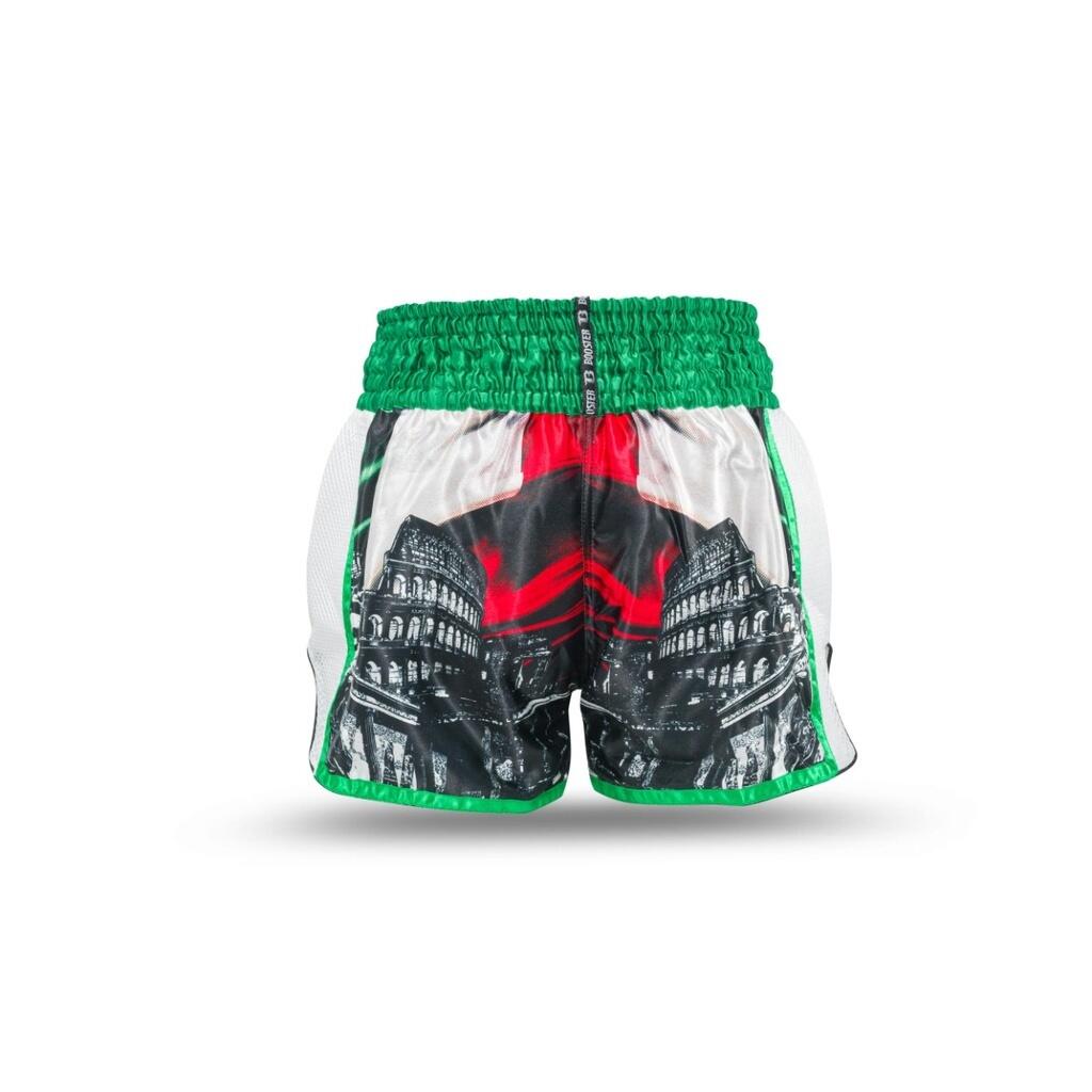 Pantaloni da boxe tailandese Booster Fight Gear TBT Country IT 2/2