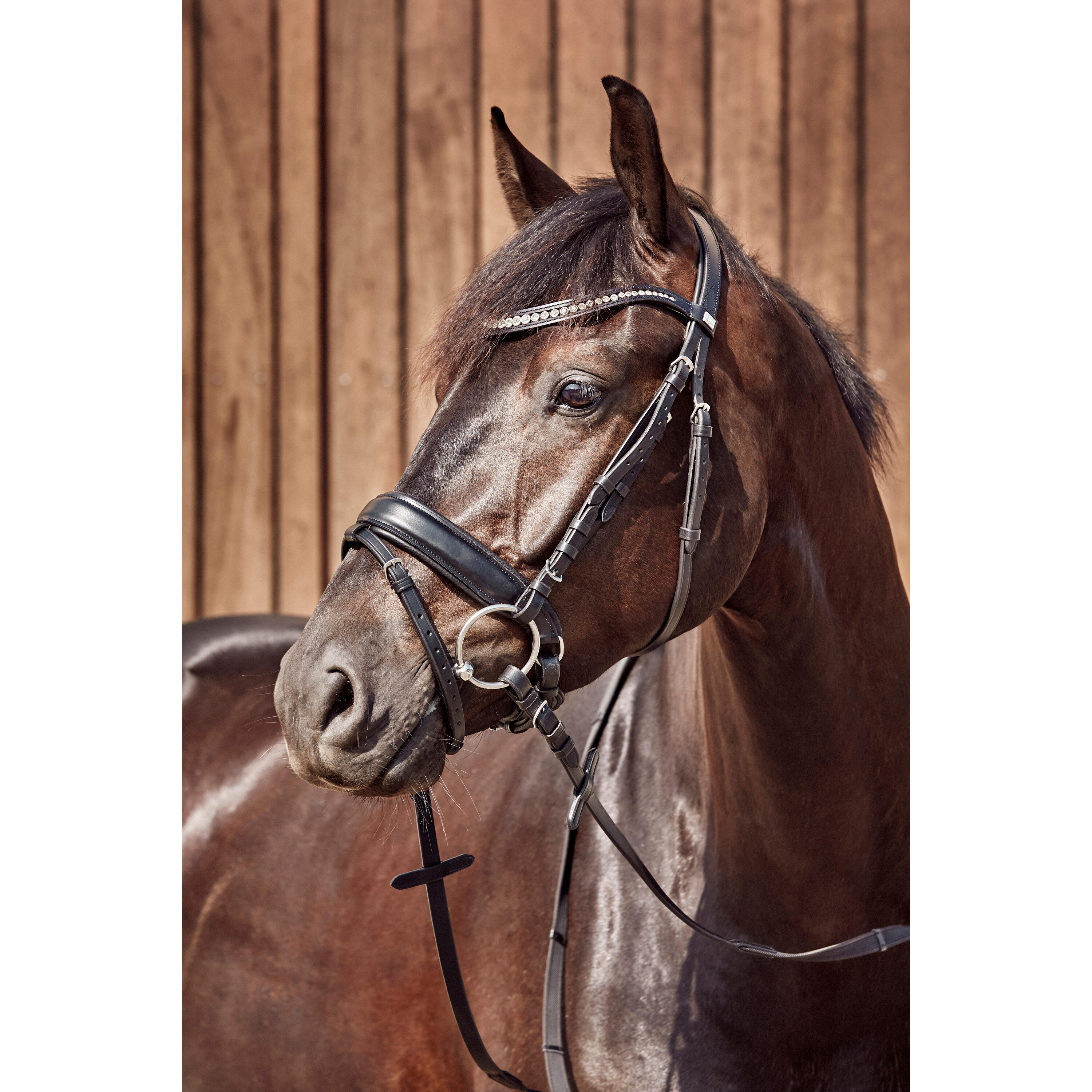 Mors 2 anneaux pour cheval HorseGuard 2/2