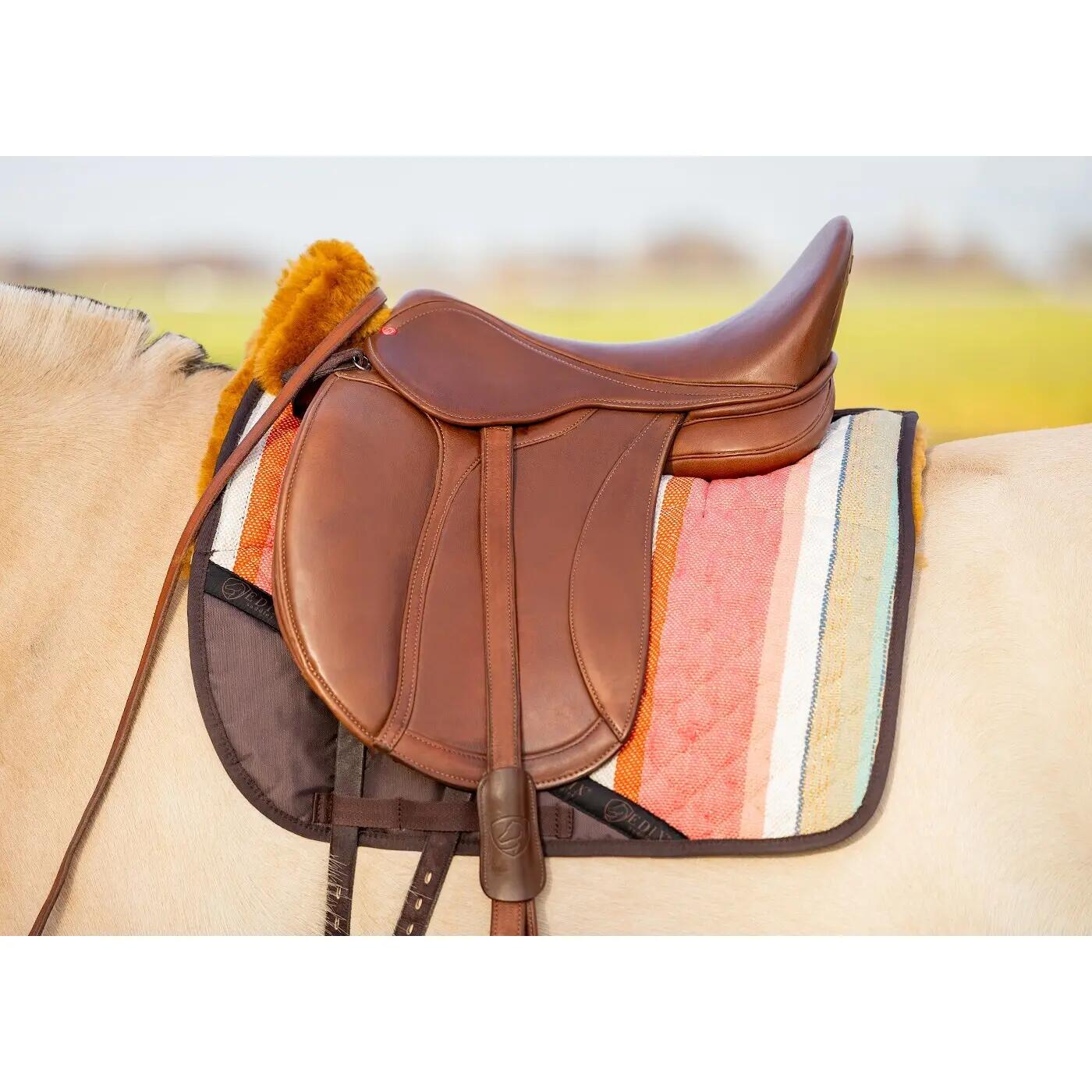 EDIX SADDLES picture