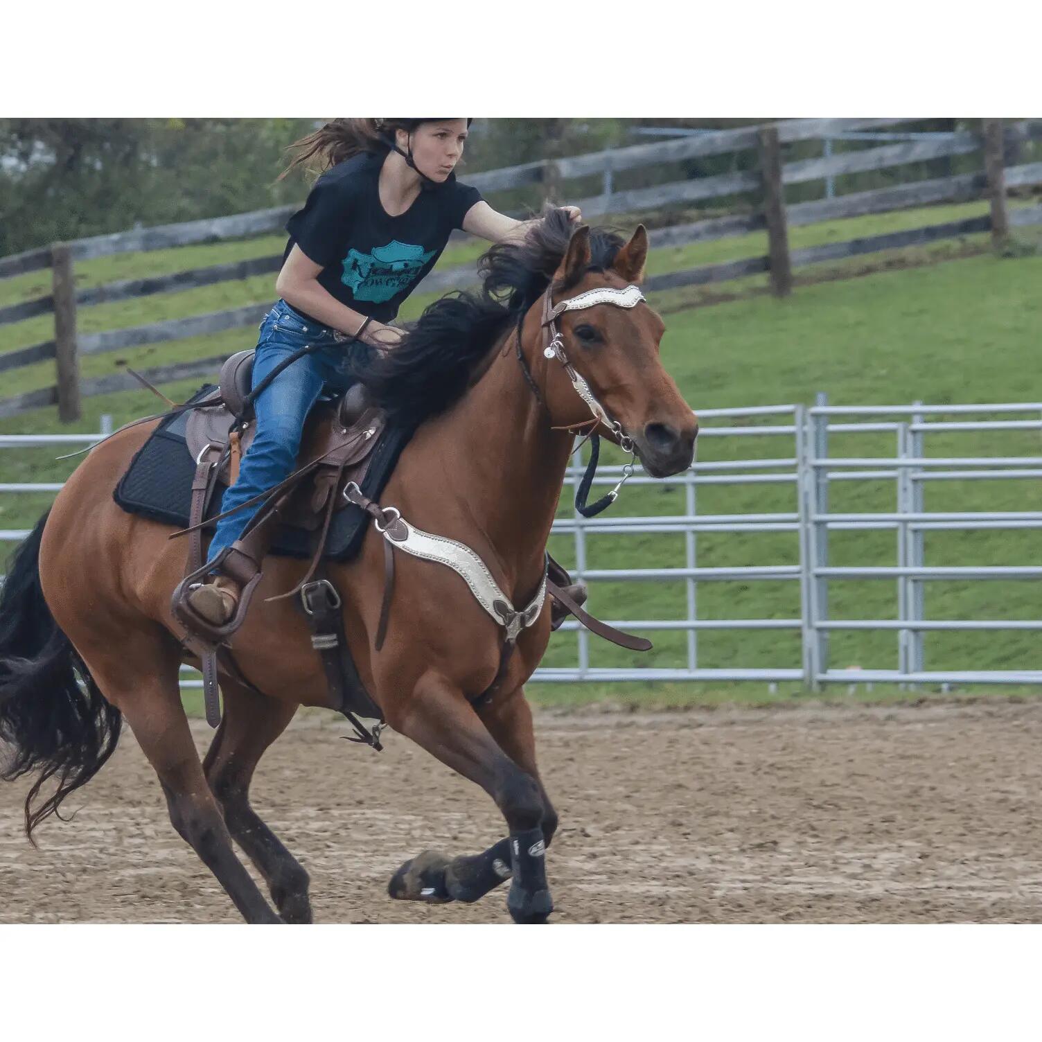 Tapis de western pour cheval ThinLine 4/4
