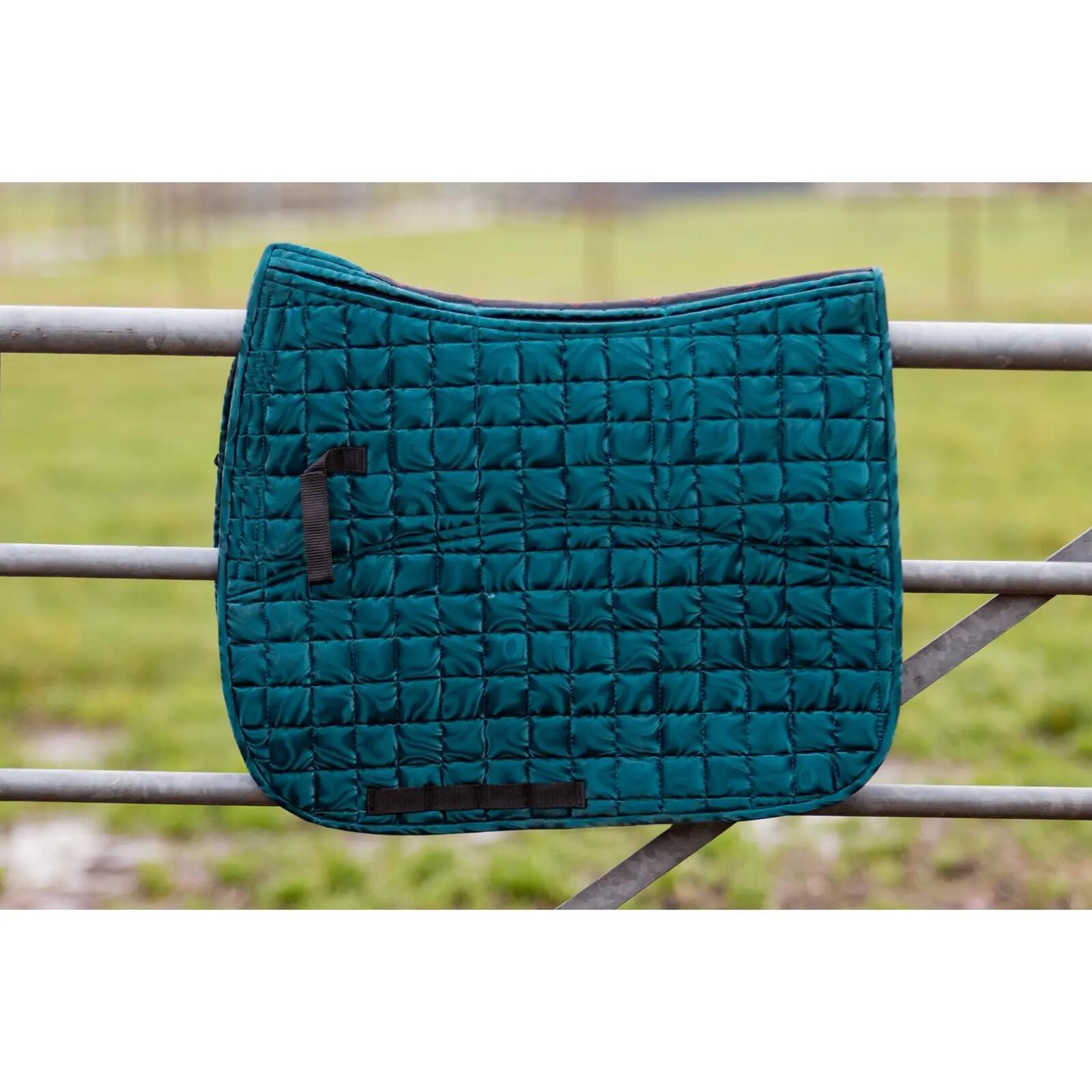 EDIX SADDLES picture