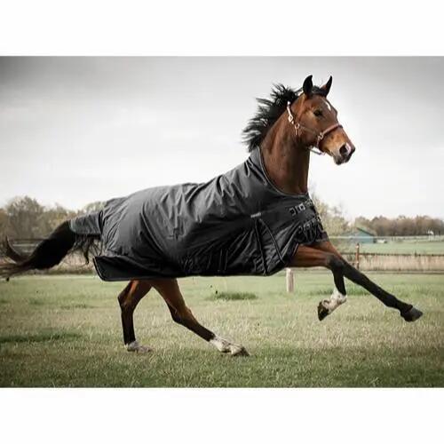 Manta de exterior para caballos Catago Justin 2.0 2/2