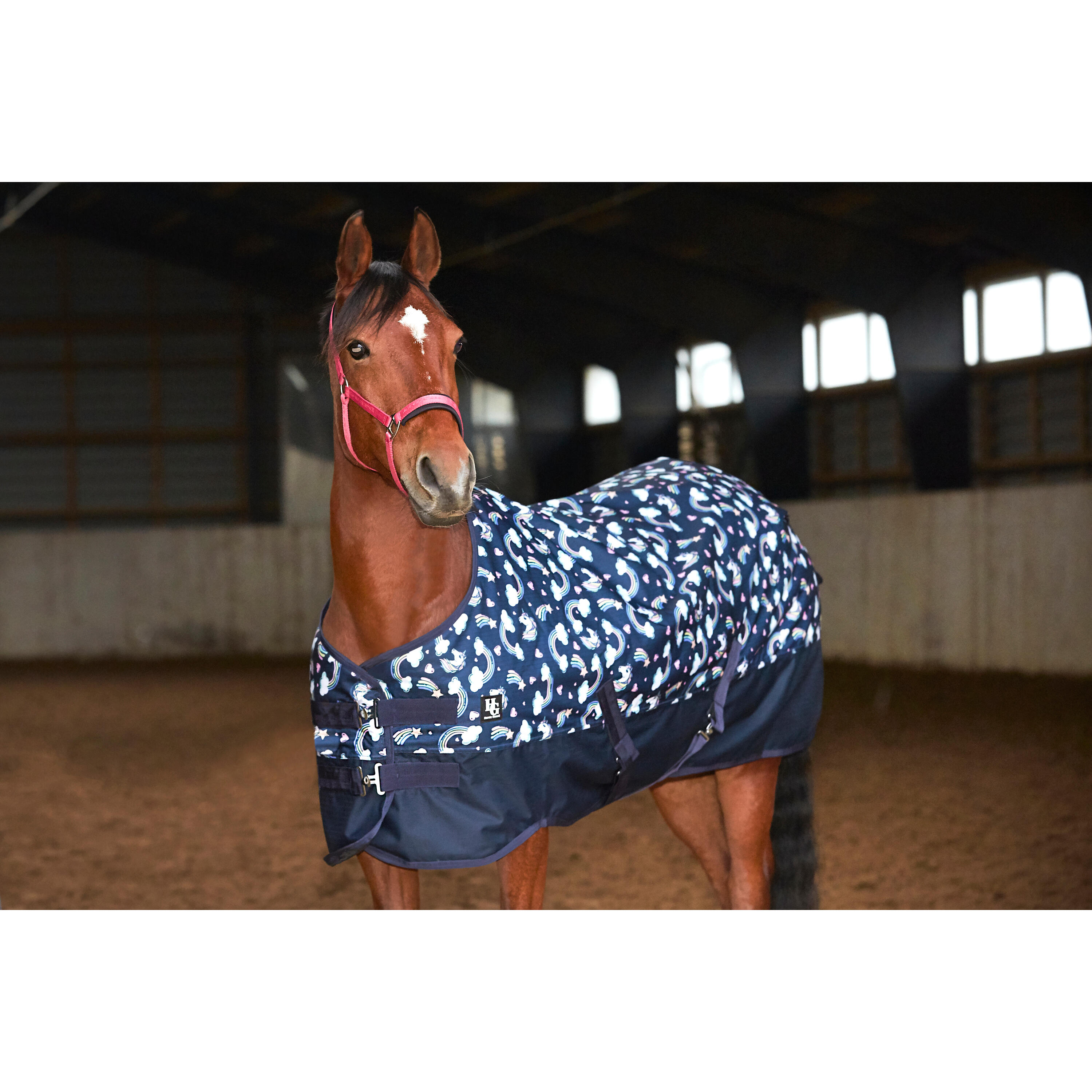 Manta de exterior para caballos HorseGuard Josh 600D 100 g 3/3
