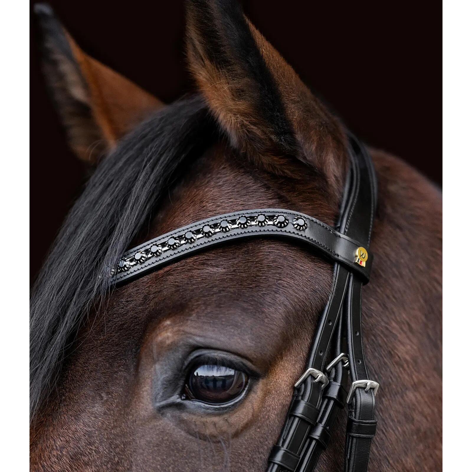 Riding bridle Waldhausen S-Line Blackshine 5/7