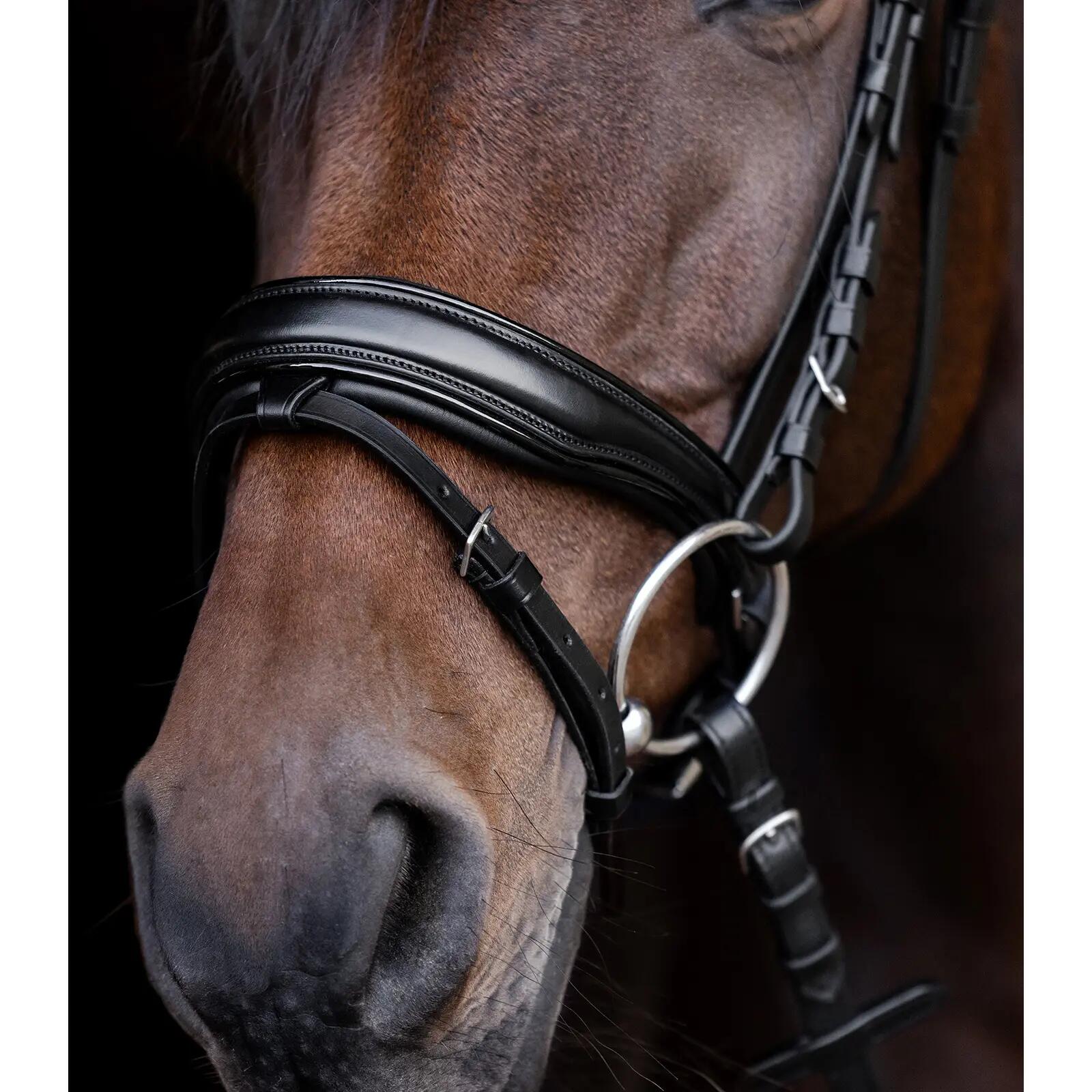 Riding bridle Waldhausen S-Line Blackshine 7/7