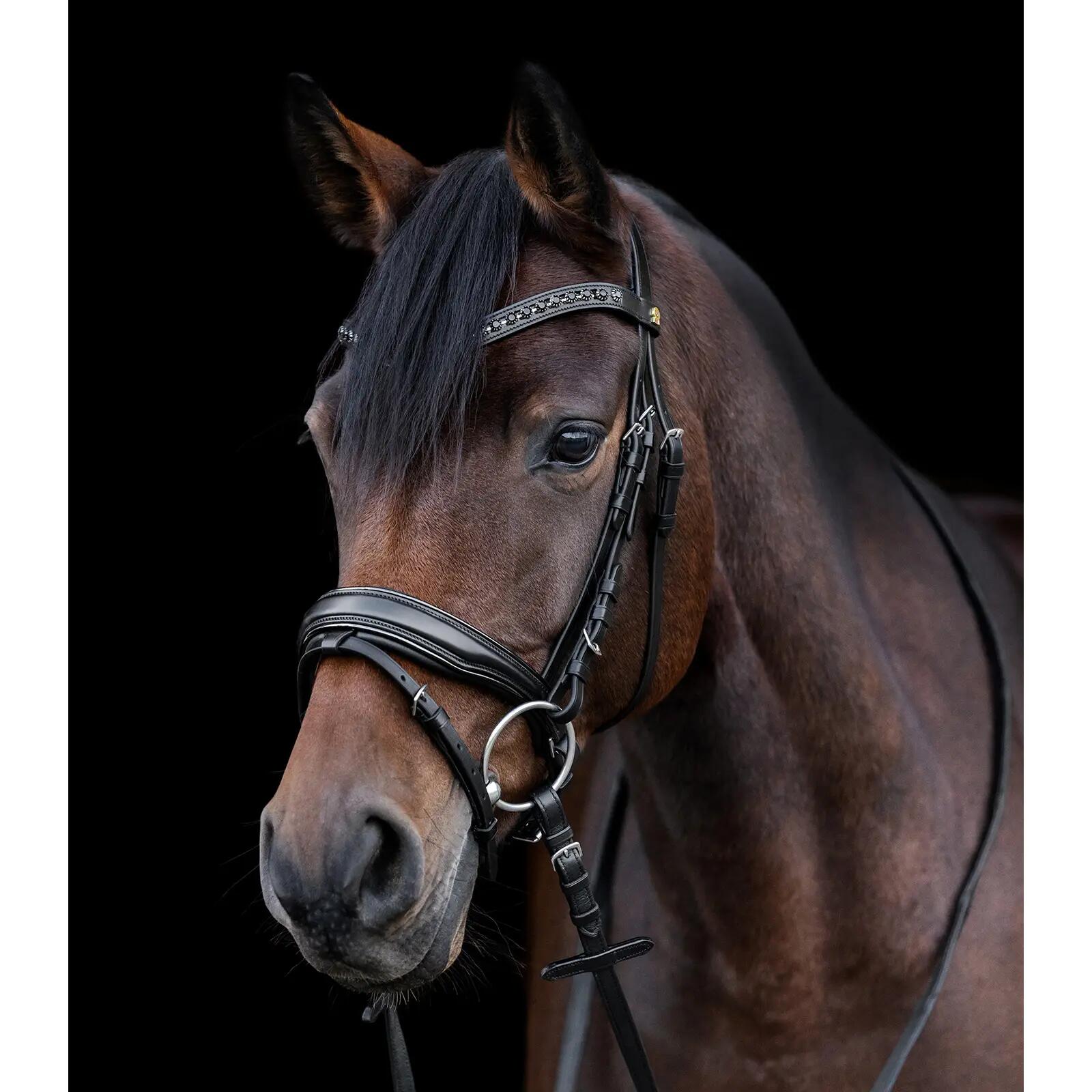 Riding bridle Waldhausen S-Line Blackshine 4/7