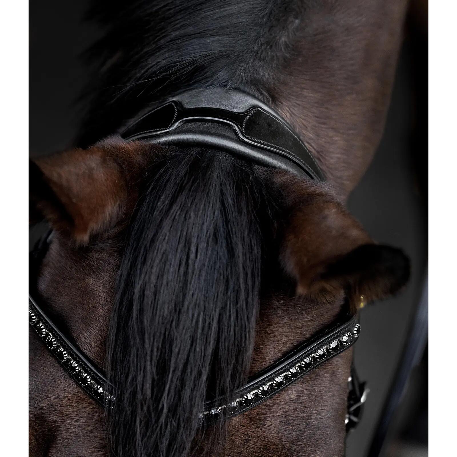 Riding bridle Waldhausen S-Line Blackshine 6/7